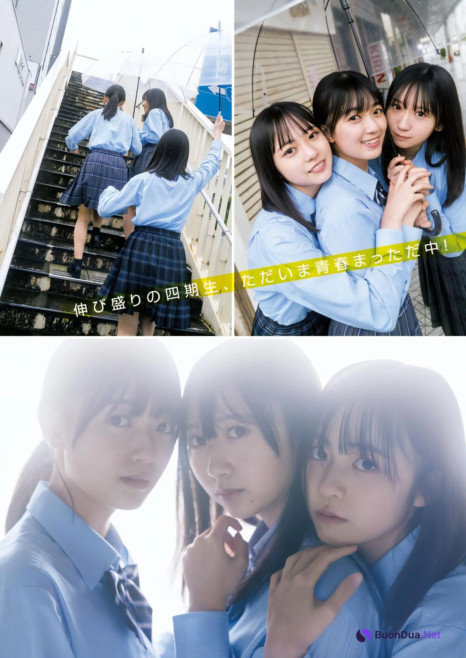 日向坂46, Young Jump 2023 No.49 (ヤングジャンプ 2023年49号) - Photo 7
