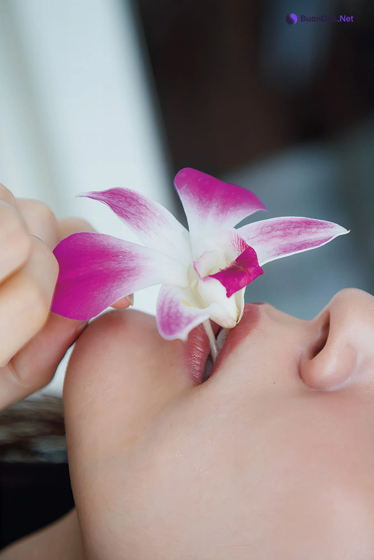 Airi Suzuki 鈴木愛理, 写真集 『 Nectar 』 Set.02 - รูปภาพ 3