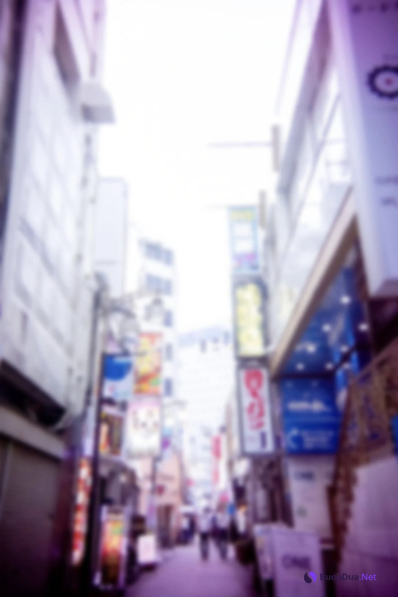 Akane Shiki 志木あかね, グラビア写真集 「QUEEN CRIMSON」 Set.01 - Photo 9