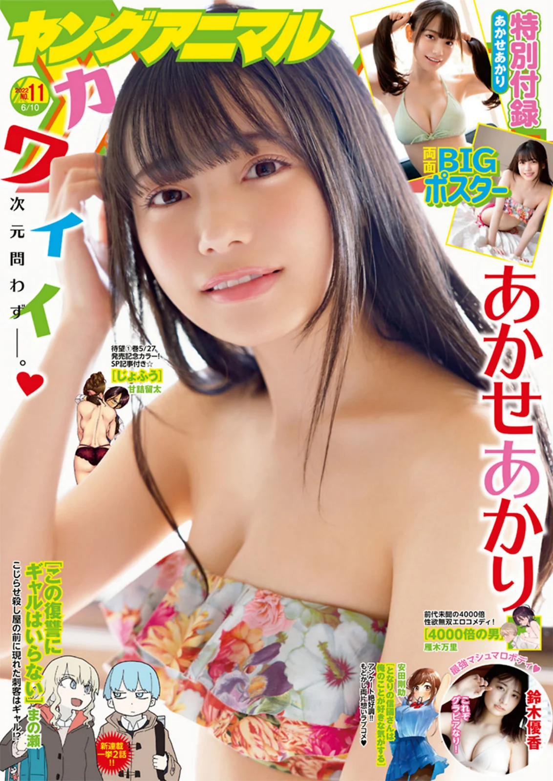 Akari Akase あかせあかり, Young Animal 2022 No.11 (ヤングアニマル 2022年11号)