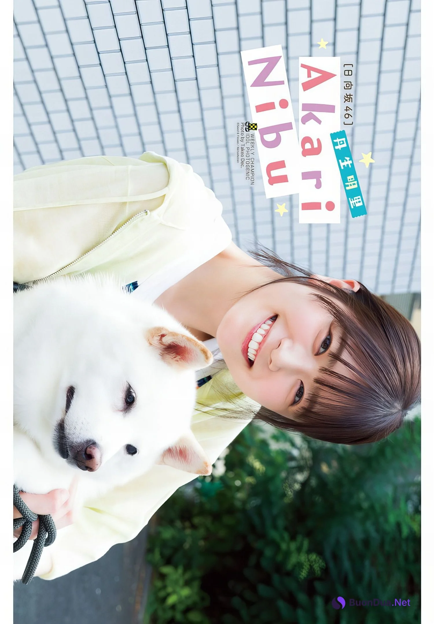 Akari Nibu 丹生明里, Shonen Champion 2024 No.41 (少年チャンピオン 2024年41号) - Photo 13