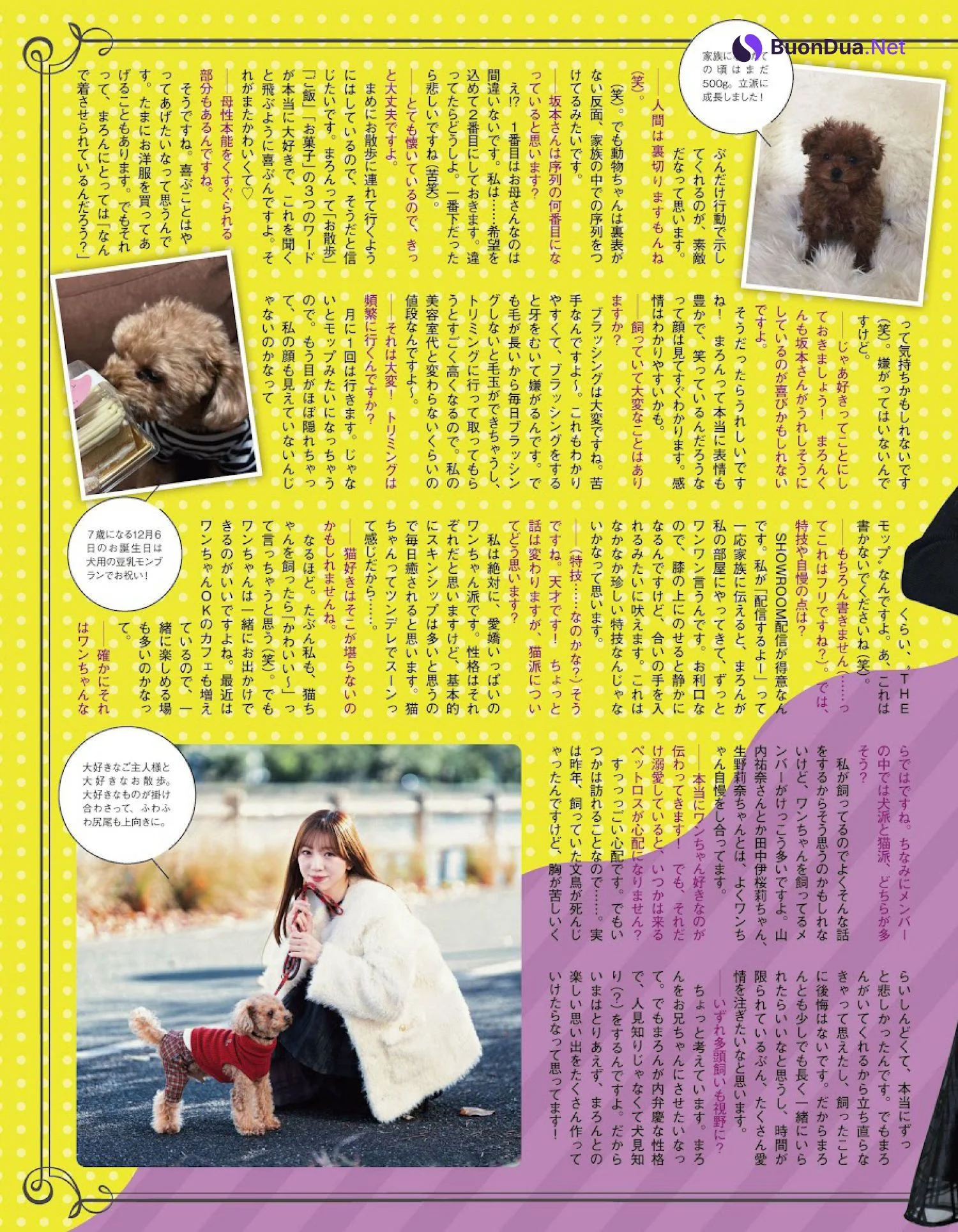 AKB48 NMB48 HKT48, Ex-Taishu 2024.03 (EX大衆 2024年3月号) - รูปภาพ 9