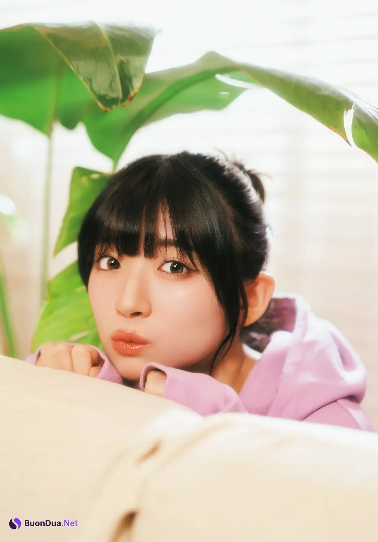 Amane Shindou 進藤あまね, Gekkan Dragon Age 2026.02 (月刊ドラゴンエイジ 2026年02月号) - Photo 8