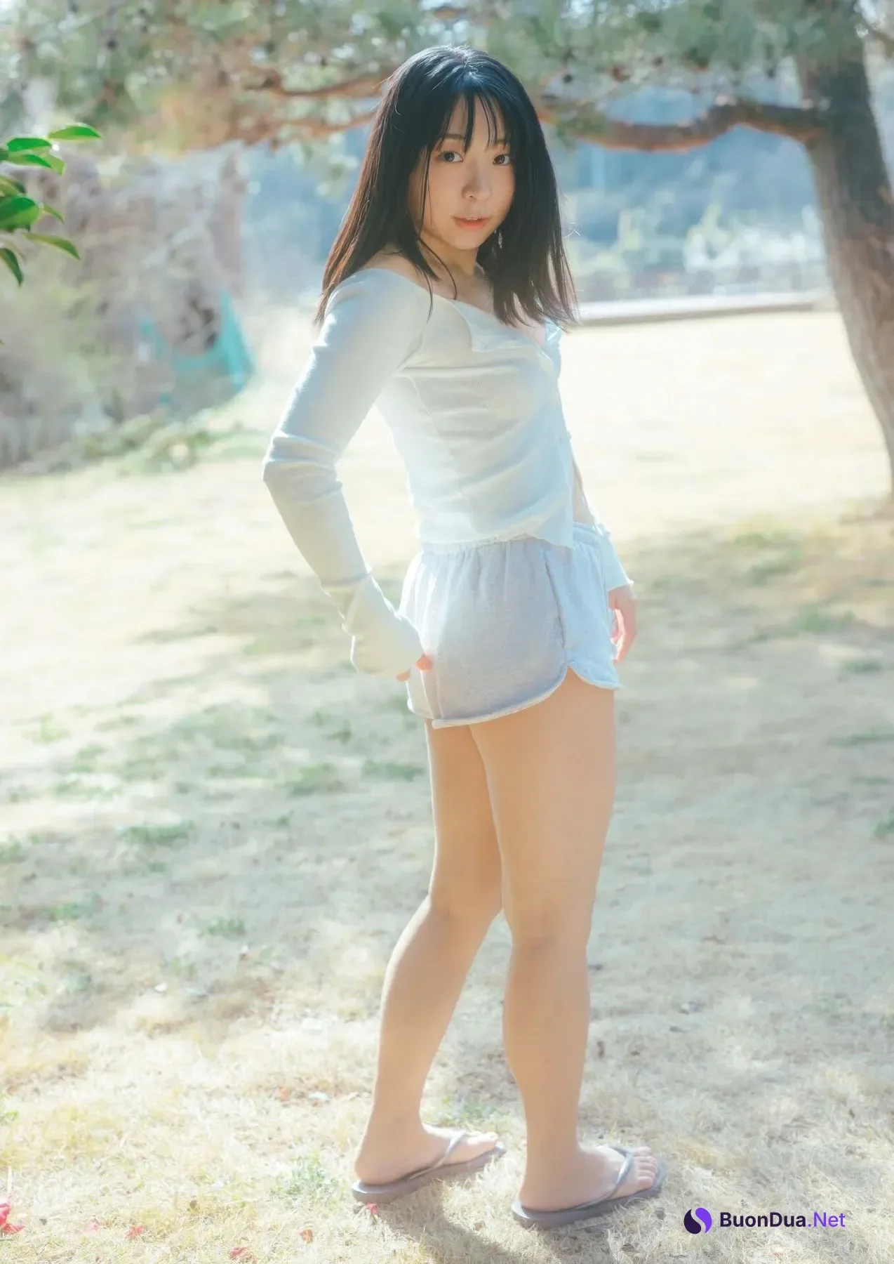 Angora soncho アンゴラ村長, Big Comic Spirits 2025 No.46 (ビッグコミックスピリッツ 2025年46号) - Photo 12