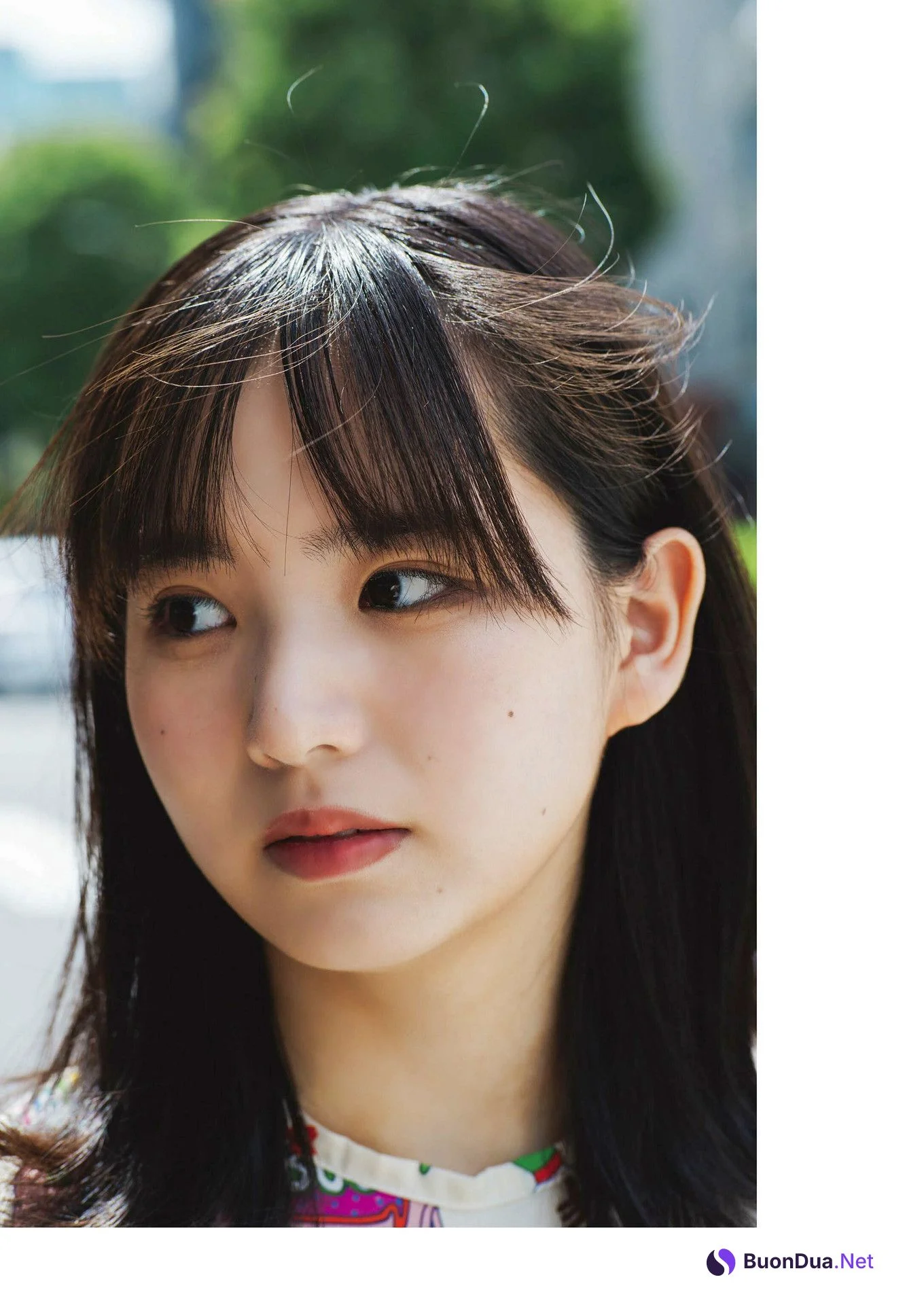 Aoi Anno 安納蒼衣, BRODY 2024 No.08 (ブロディ 2024年8月号) - Photo 6