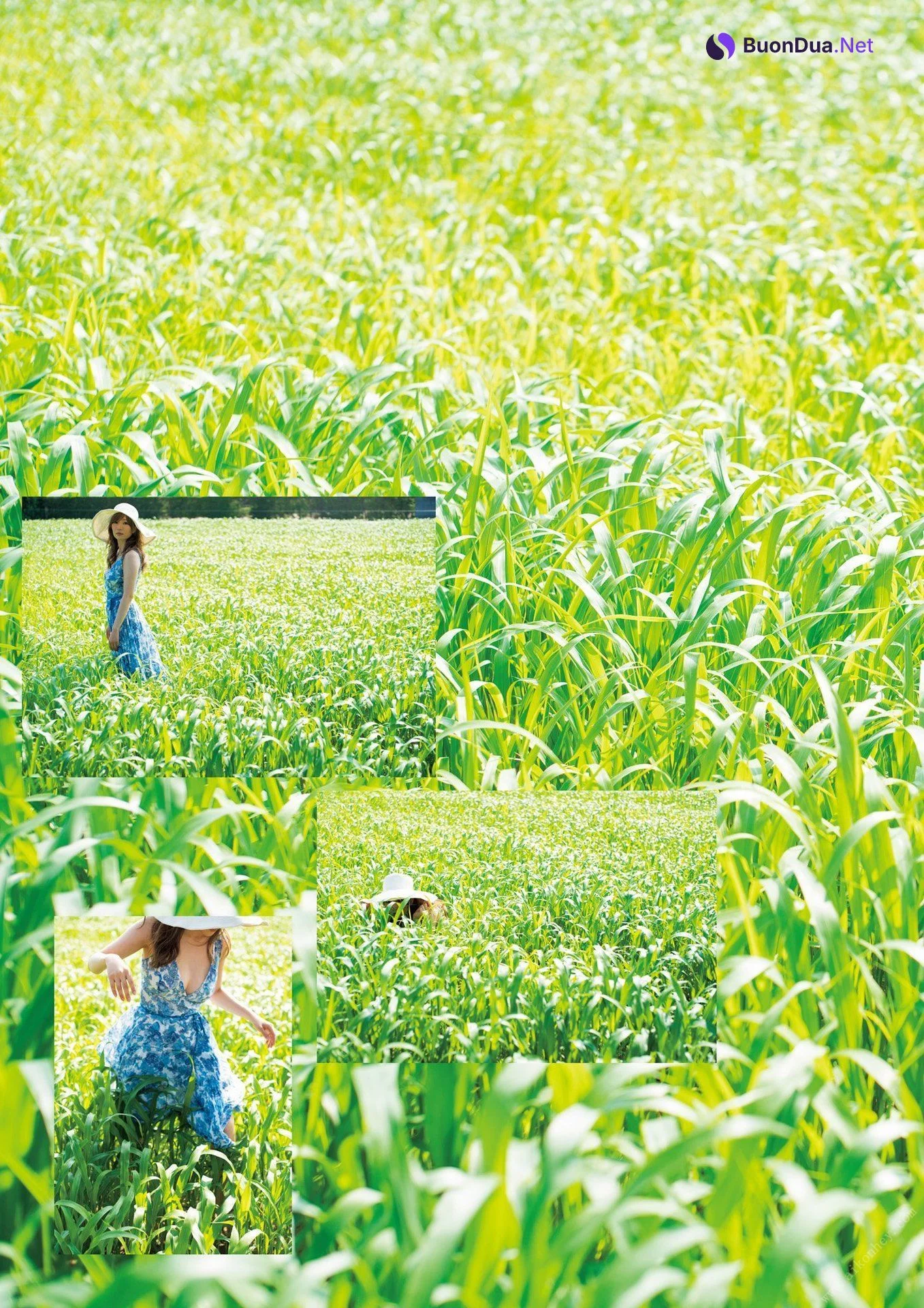 Aoi 葵, 写真集 「Hollyhock」 Set.01 - Photo 3