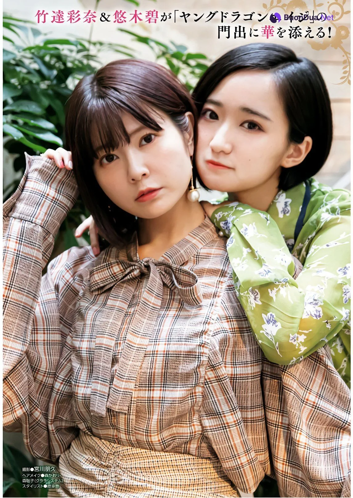Aoi Yuki 悠木碧, Ayana Taketatsu 竹達彩奈, Dragon Age ドラゴンエイジ 2020年1月号 増刊 ヤングドラゴンエイジ Vol.01 - รูปภาพ 2