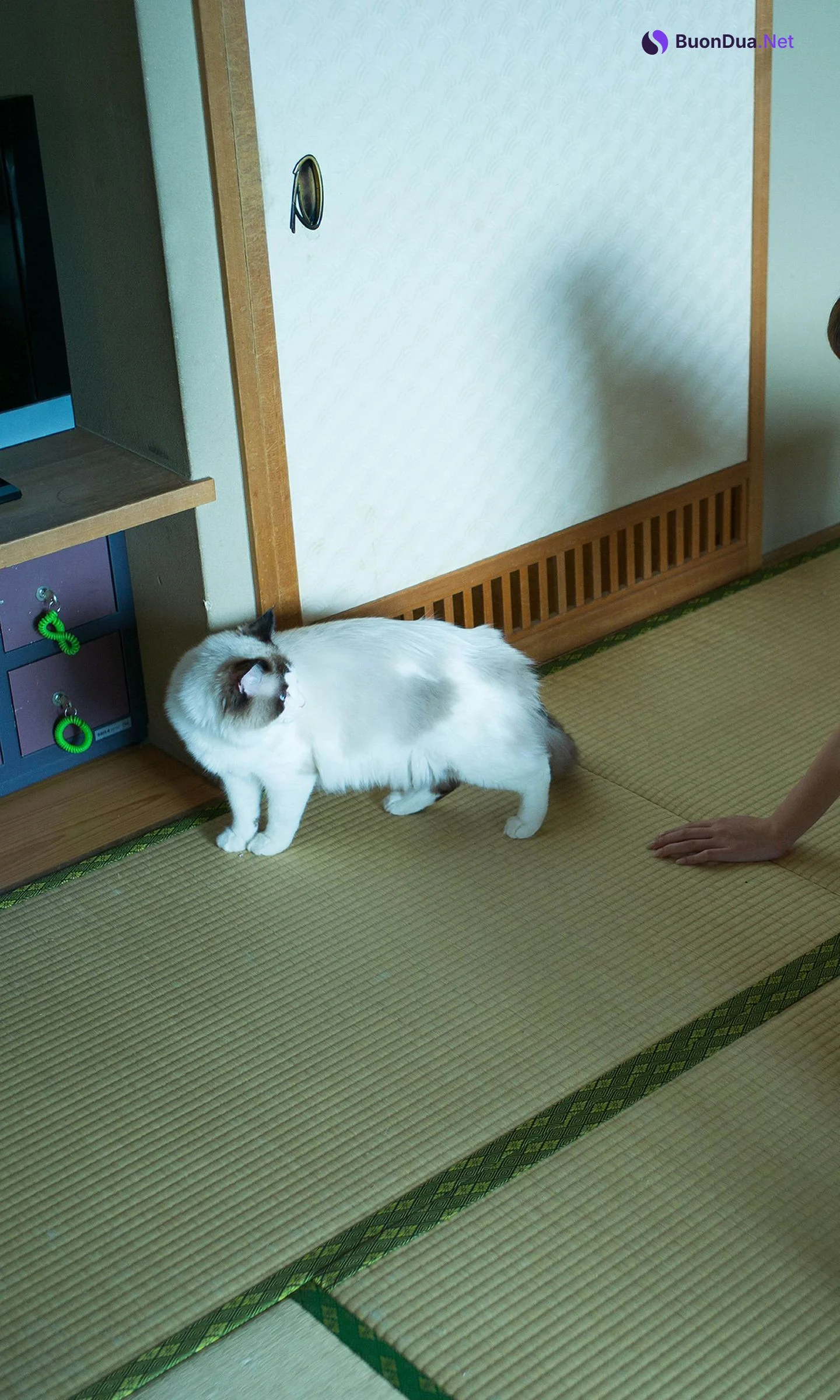 Arina Hashimoto 橋本ありな, 週プレ Photo Book 「NUDE NEXT Vol.02」 Set.01 - Photo 7