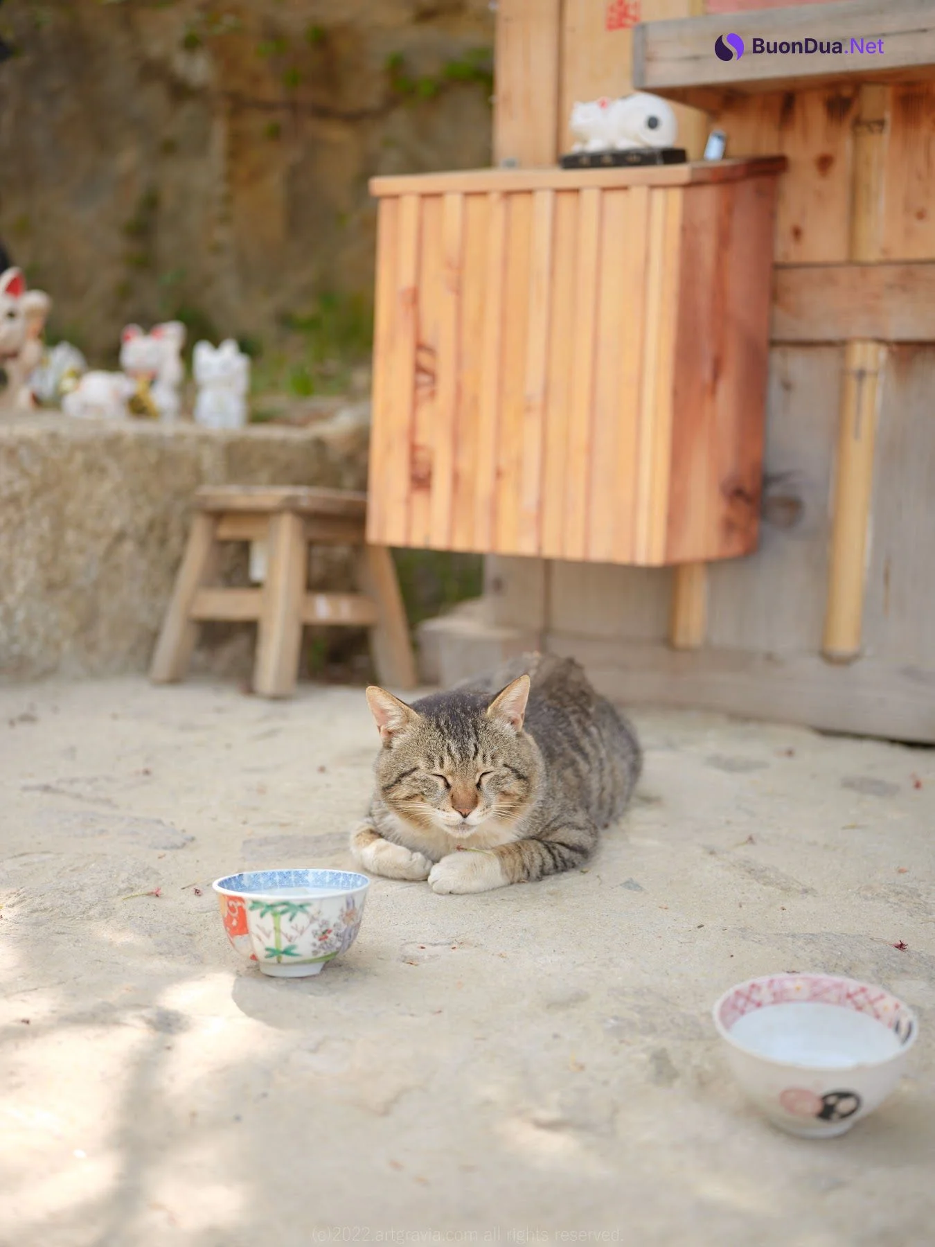 ArtGravia Vol.401 Kang In-kyung (강인경) - 照片 14