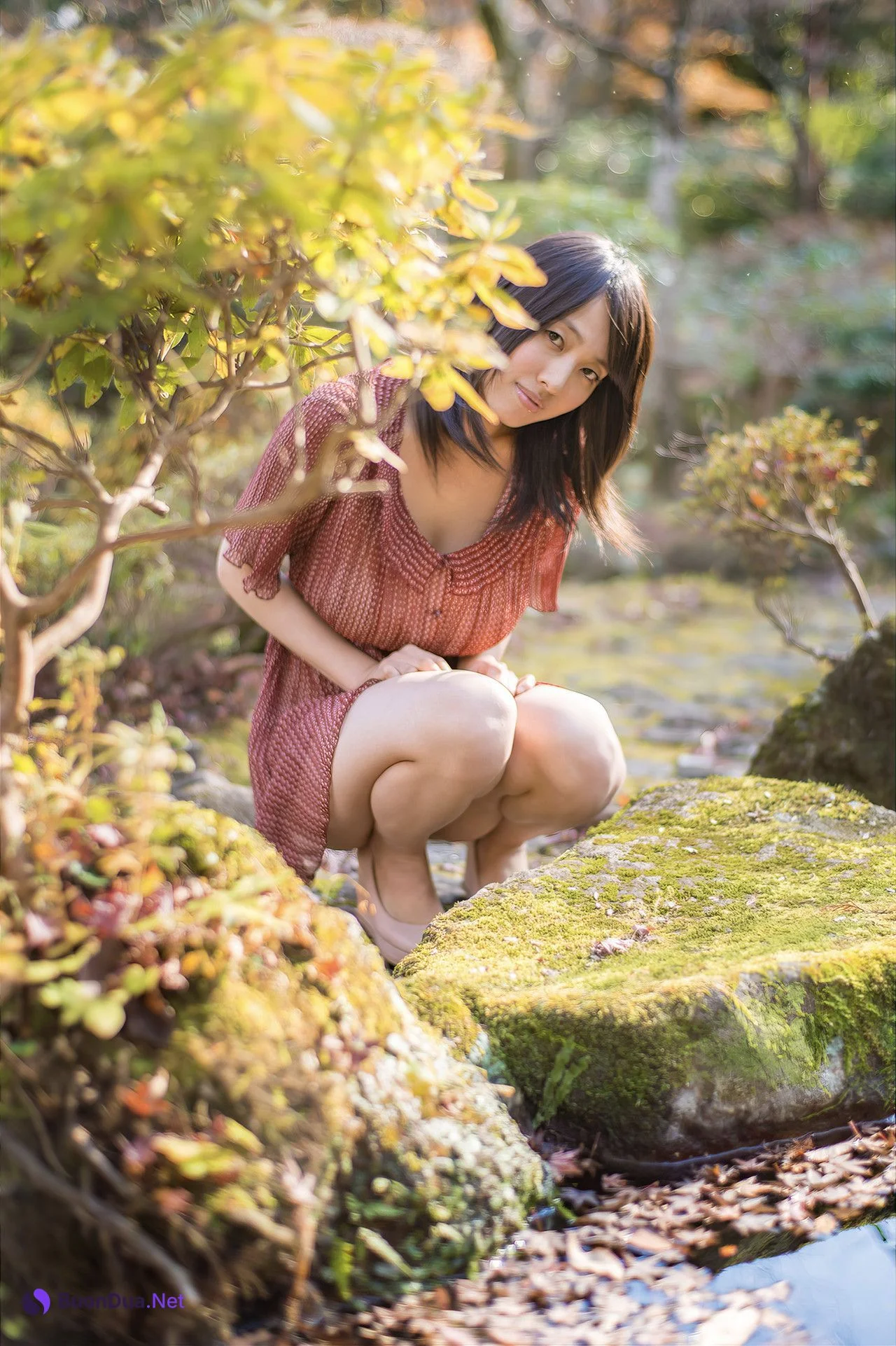 Asami Sakanoe 坂ノ上朝美, デジタル写真集 「秋桜」 Set.01 - Photo 2