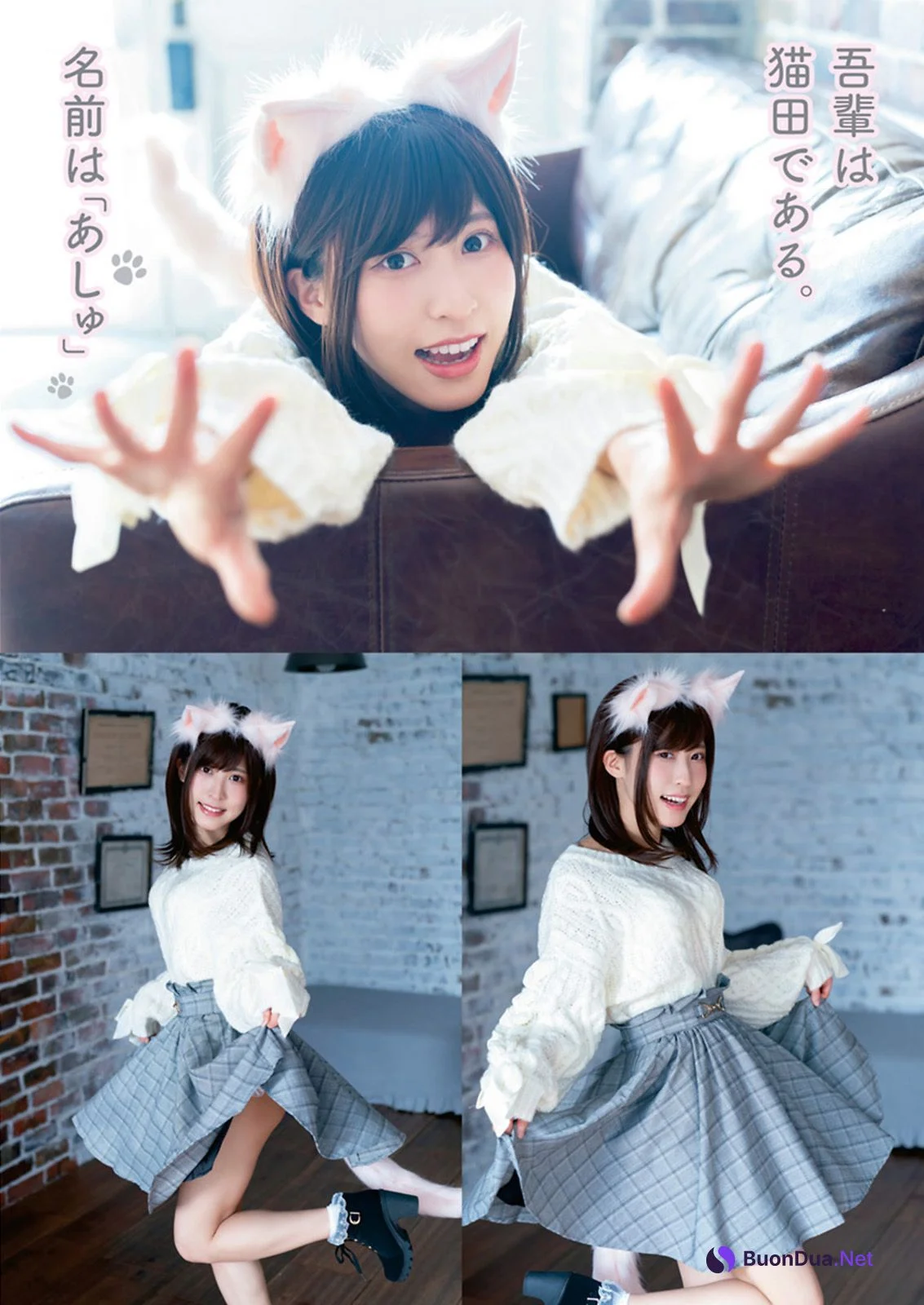 Ashu Nekota 猫田あしゅ, Young Animal 2021 No.05 (ヤングアニマル 2021年5号) - Photo 2
