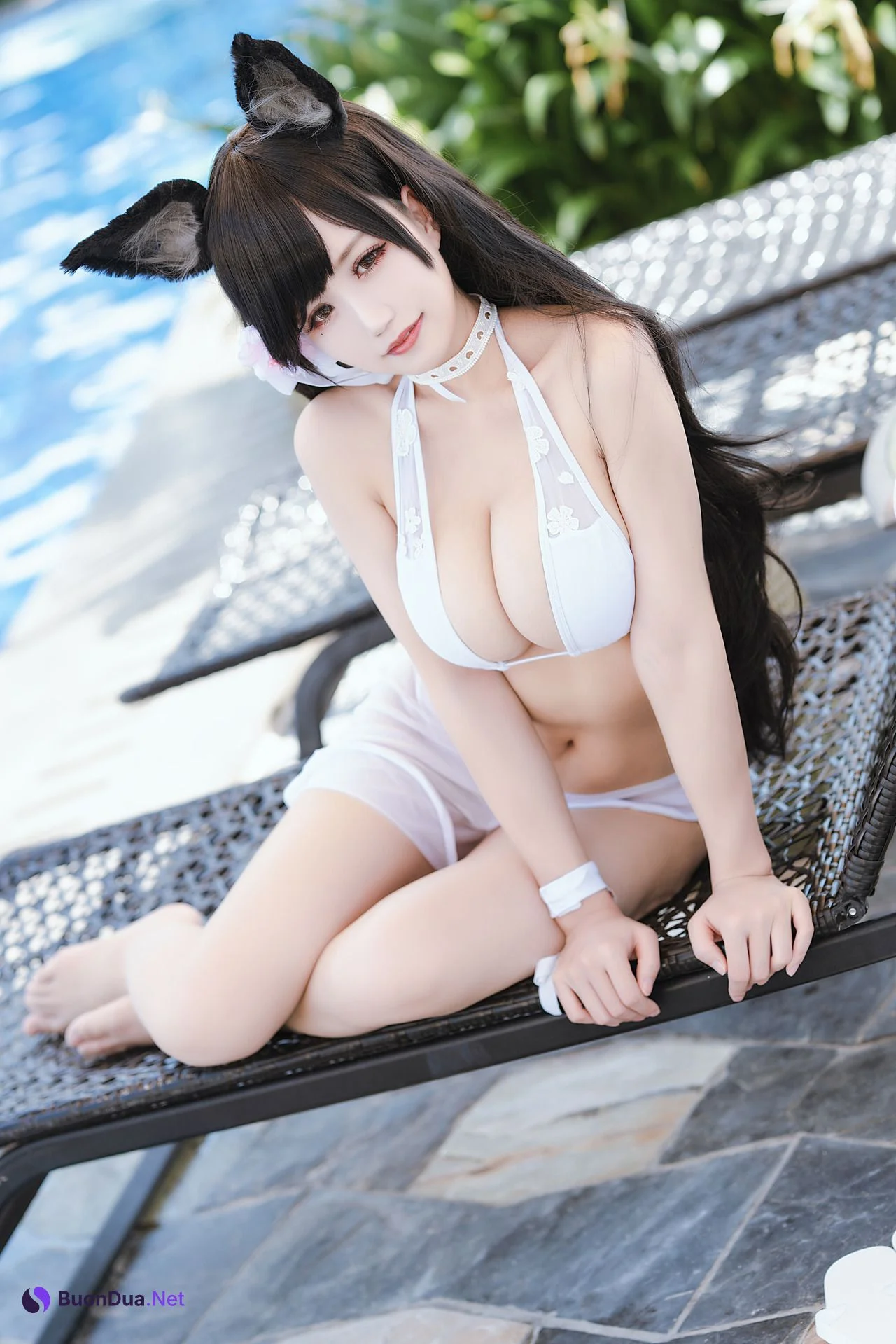 [小仓千代] Atago 爱宕热带鱼 - Photo 2