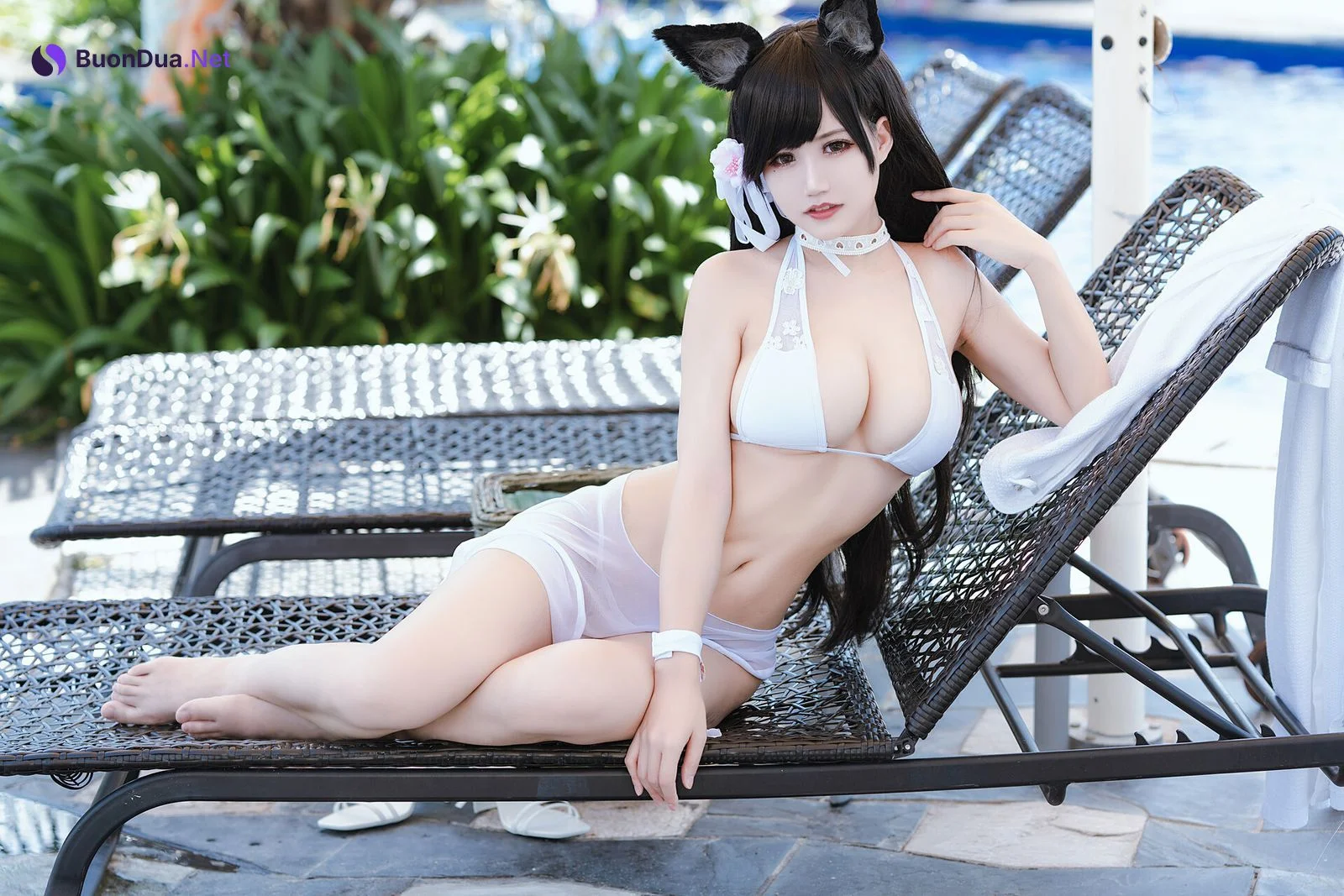 [小仓千代] Atago 爱宕热带鱼 - Photo 20