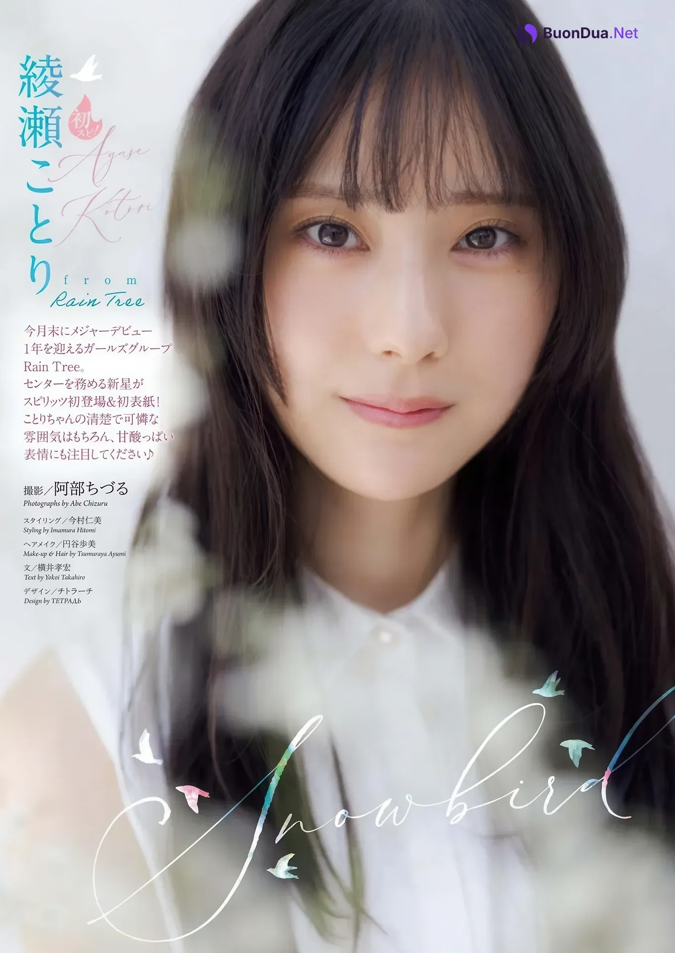Ayase Kotori 綾瀬ことり, Big Comic Spirits 2026 No.07 (ビッグコミックスピリッツ 2026年7号) - Photo 2