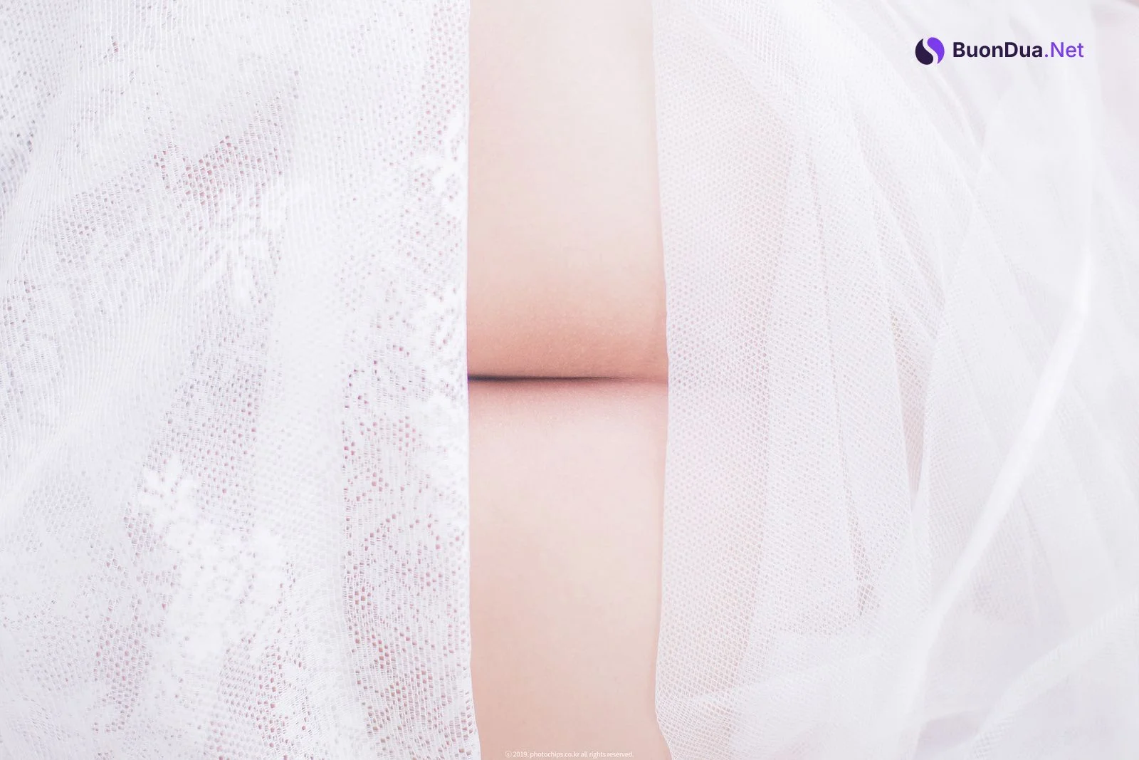 Bokbunjajoo 복분자주, [PhotoChips] Vol.23 No.2 포토칩스는 Set.01 - Photo 15