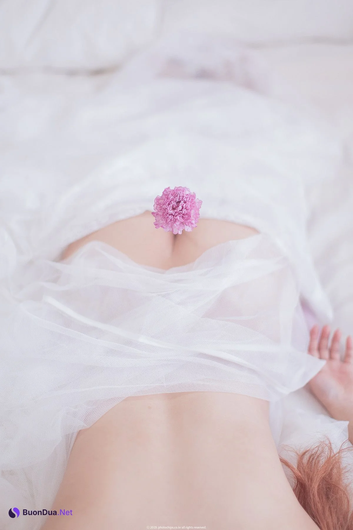 Bokbunjajoo 복분자주, [PhotoChips] Vol.23 No.2 포토칩스는 Set.01 - Photo 17