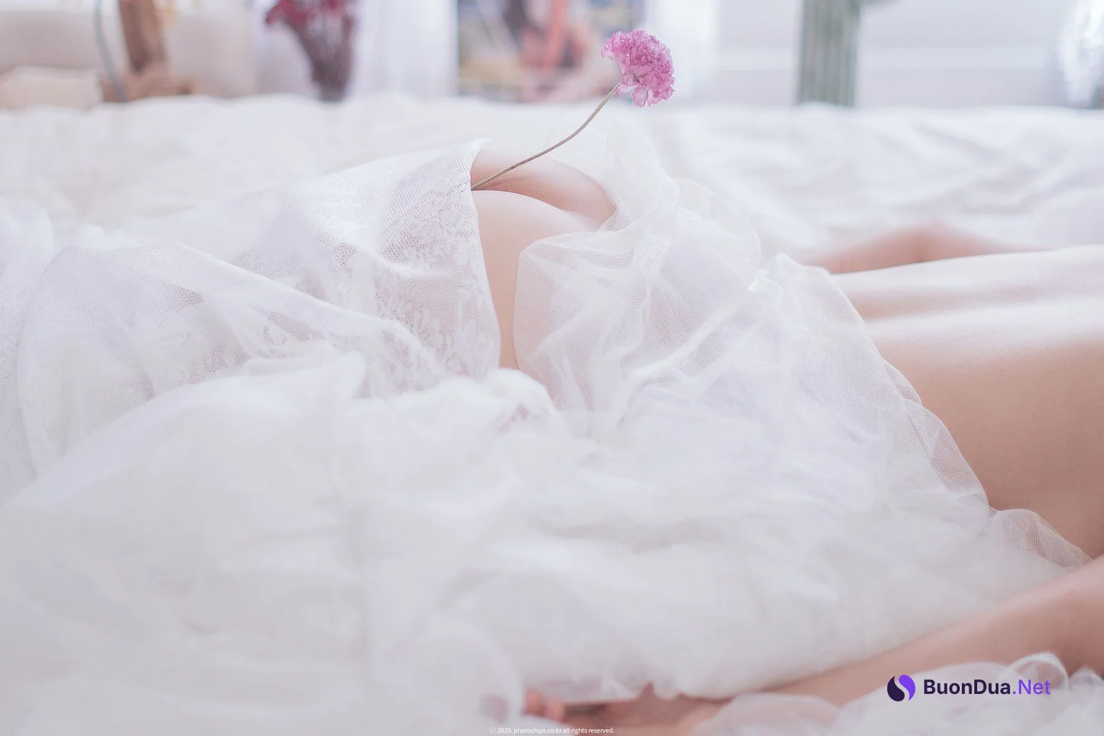 Bokbunjajoo 복분자주, [PhotoChips] Vol.23 No.2 포토칩스는 Set.01 - Photo 18