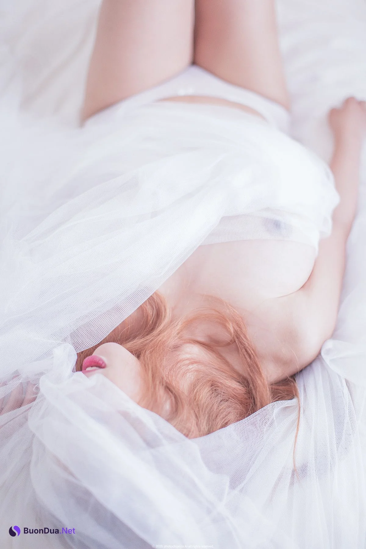 Bokbunjajoo 복분자주, [PhotoChips] Vol.23 No.2 포토칩스는 Set.01 - Photo 2