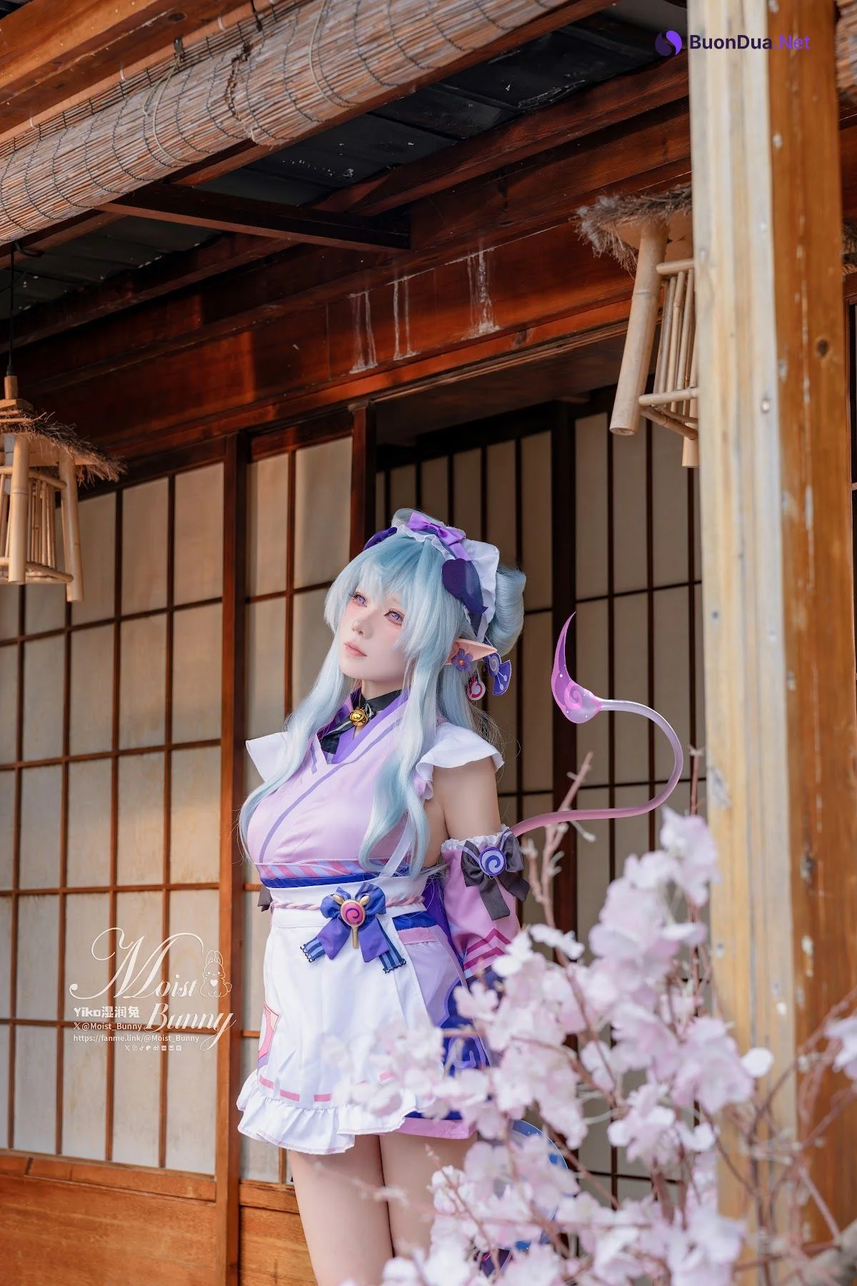 Coser@黏黏团子兔 – 05月作品『浮枕朝颜-梦见月瑞希』 红昭愿 - 照片 12