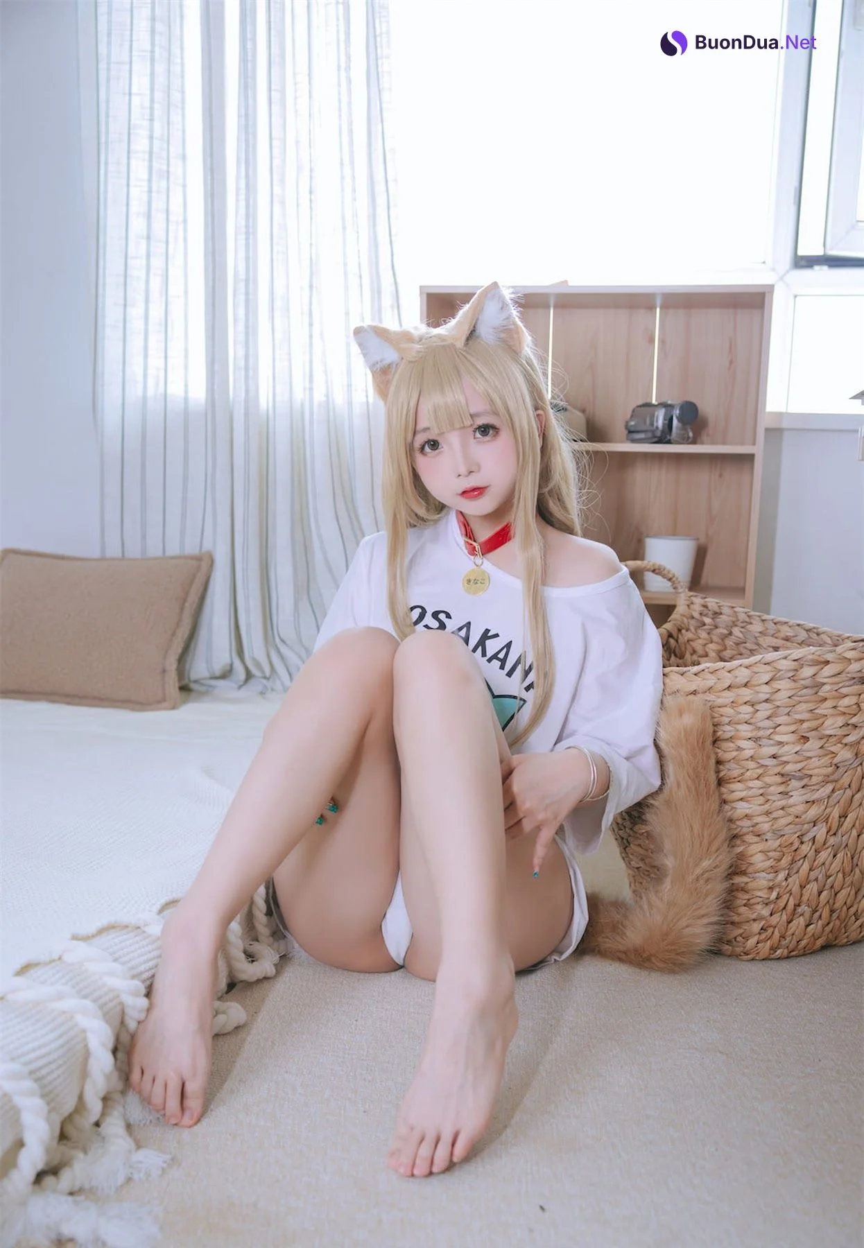 Coser@日奈娇 – 黄豆粉 - รูปภาพ 11