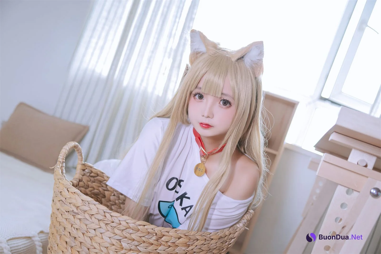 Coser@日奈娇 – 黄豆粉 - รูปภาพ 24