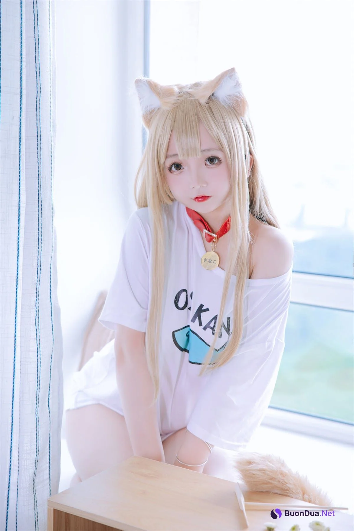 Coser@日奈娇 – 黄豆粉 - รูปภาพ 35