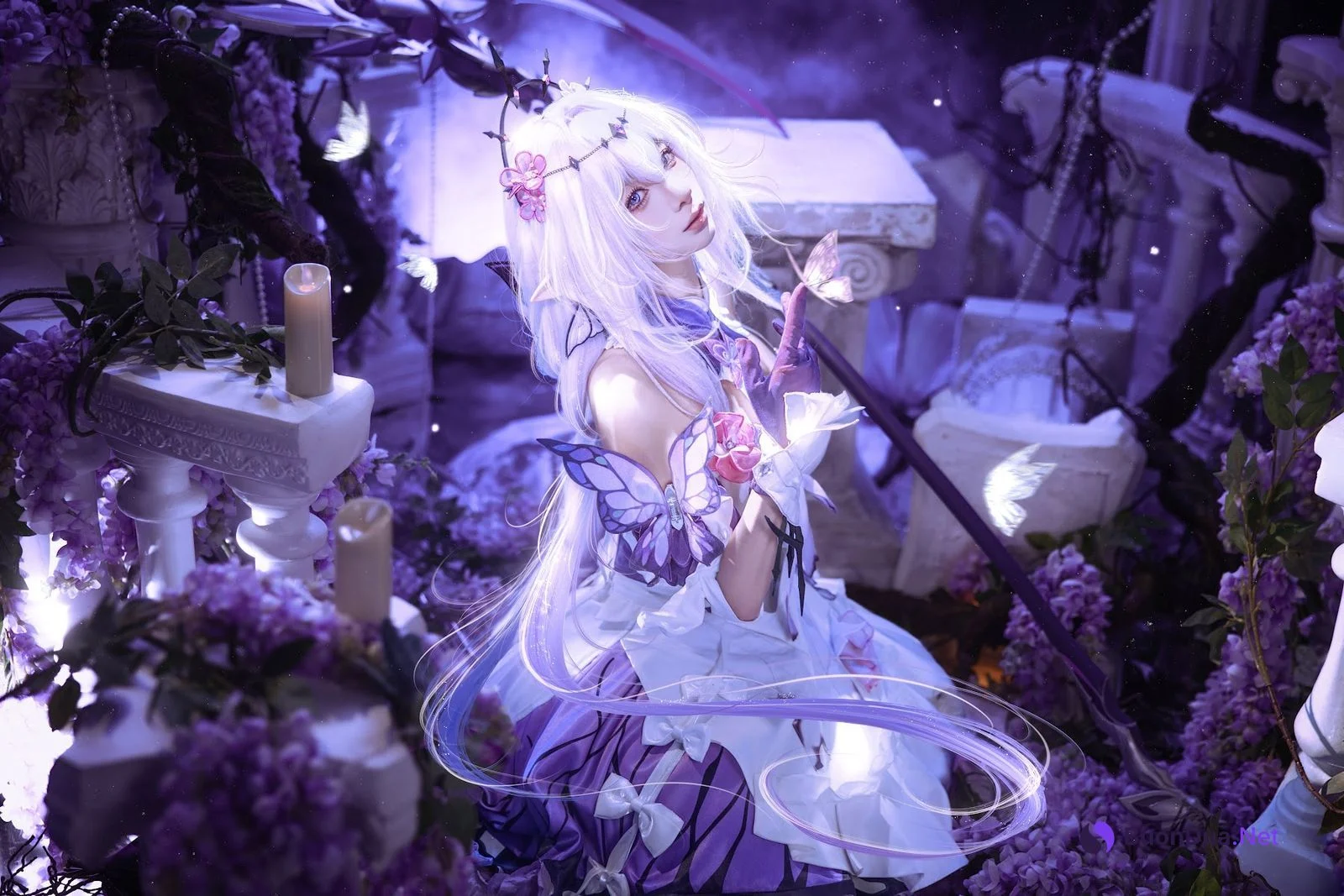 Coser@蠢沫沫 (chunmomo) – 崩坏·星穹铁道 遐蝶 - Photo 3