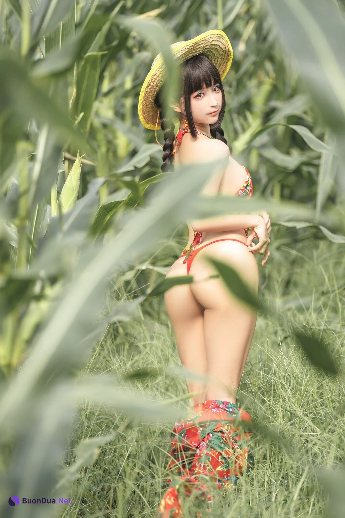 Coser@蠢沫沫 (chunmomo) – The story of cornfield - Photo 15