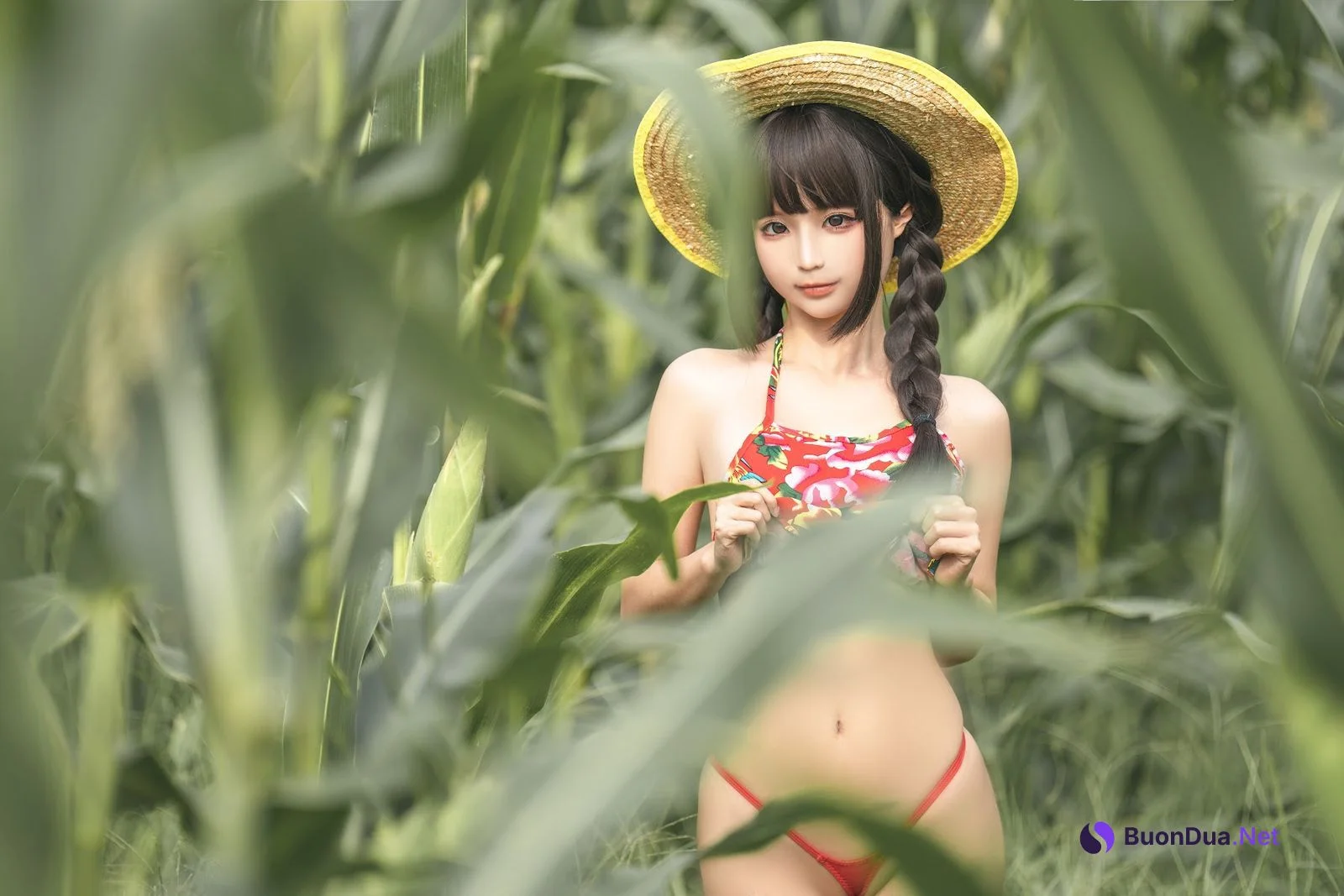 Coser@蠢沫沫 (chunmomo) – The story of cornfield - Photo 18