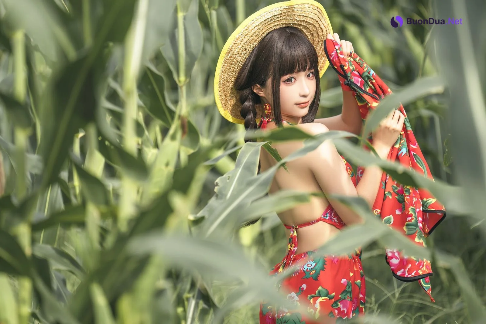 Coser@蠢沫沫 (chunmomo) – The story of cornfield - Photo 3