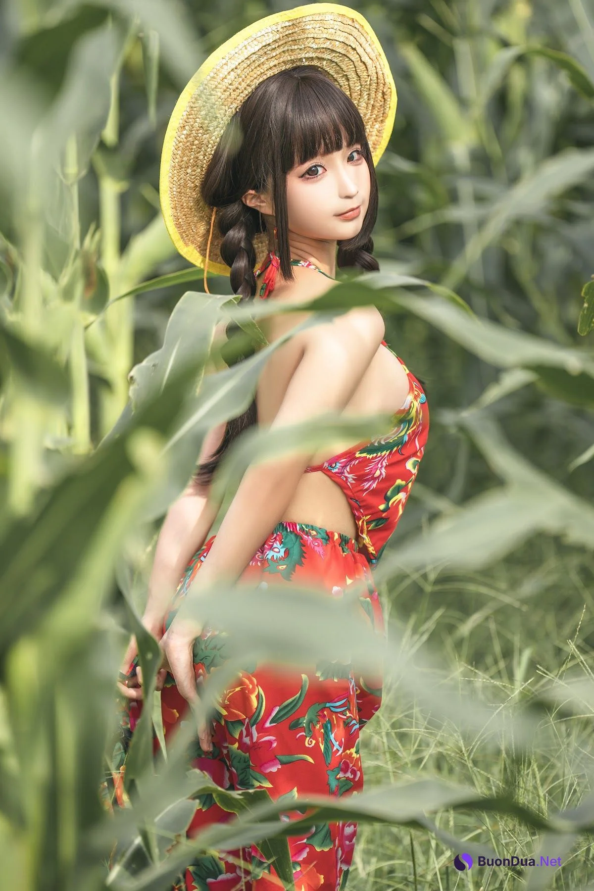Coser@蠢沫沫 (chunmomo) – The story of cornfield - Photo 6
