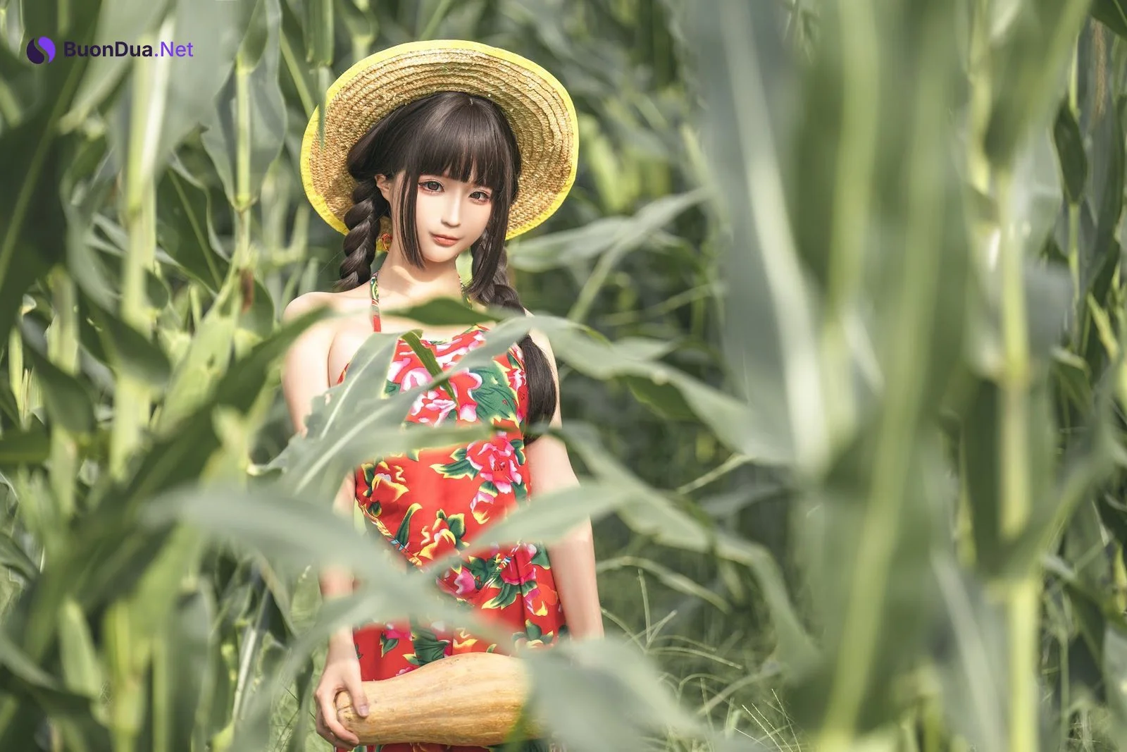 Coser@蠢沫沫 (chunmomo) – The story of cornfield - Photo 7