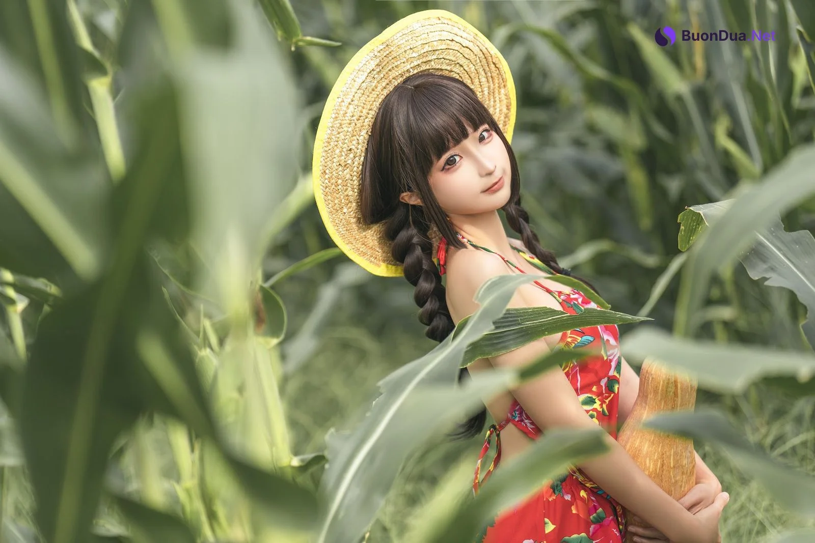 Coser@蠢沫沫 (chunmomo) – The story of cornfield - Photo 9