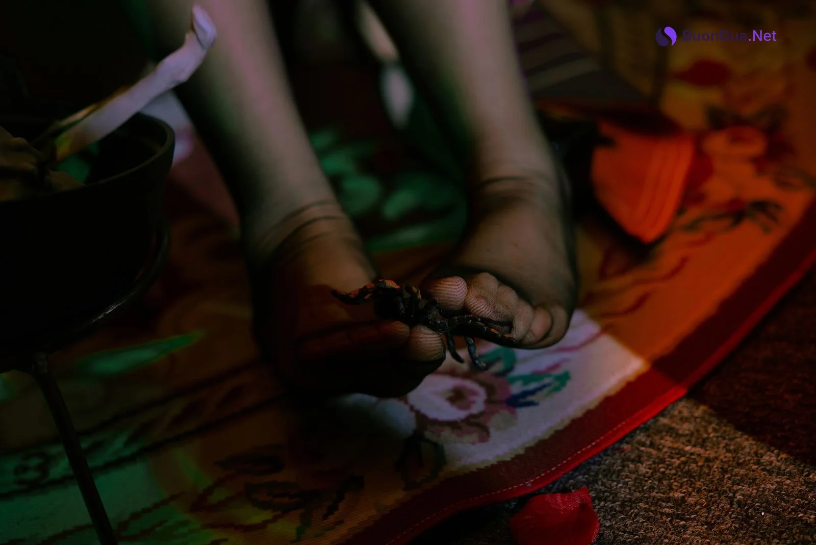 Coser@日奈娇 – 孟菲斯 - 写真 18