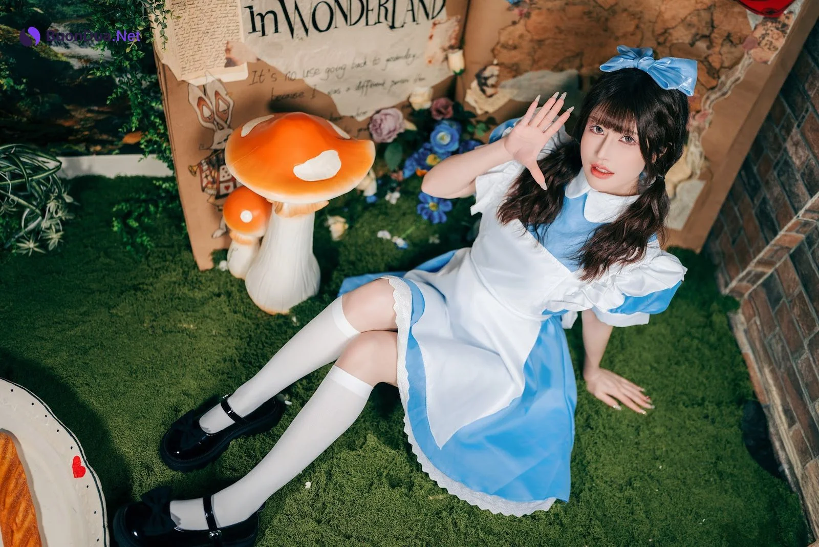 Coser@鹿八岁 – 爱丽丝梦游仙境 - Photo 16