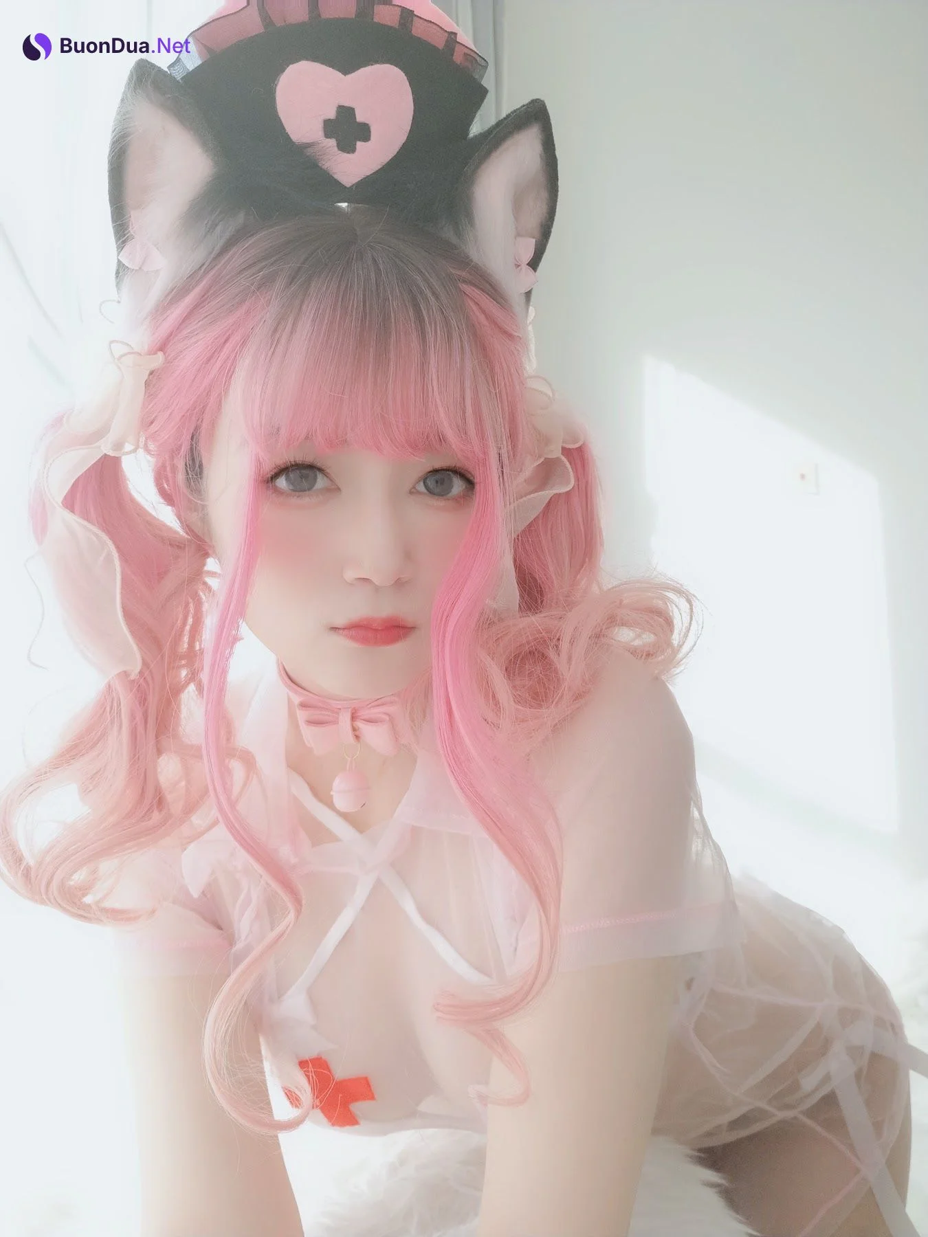 Coser@白银81 猫咪护士 - 写真 19