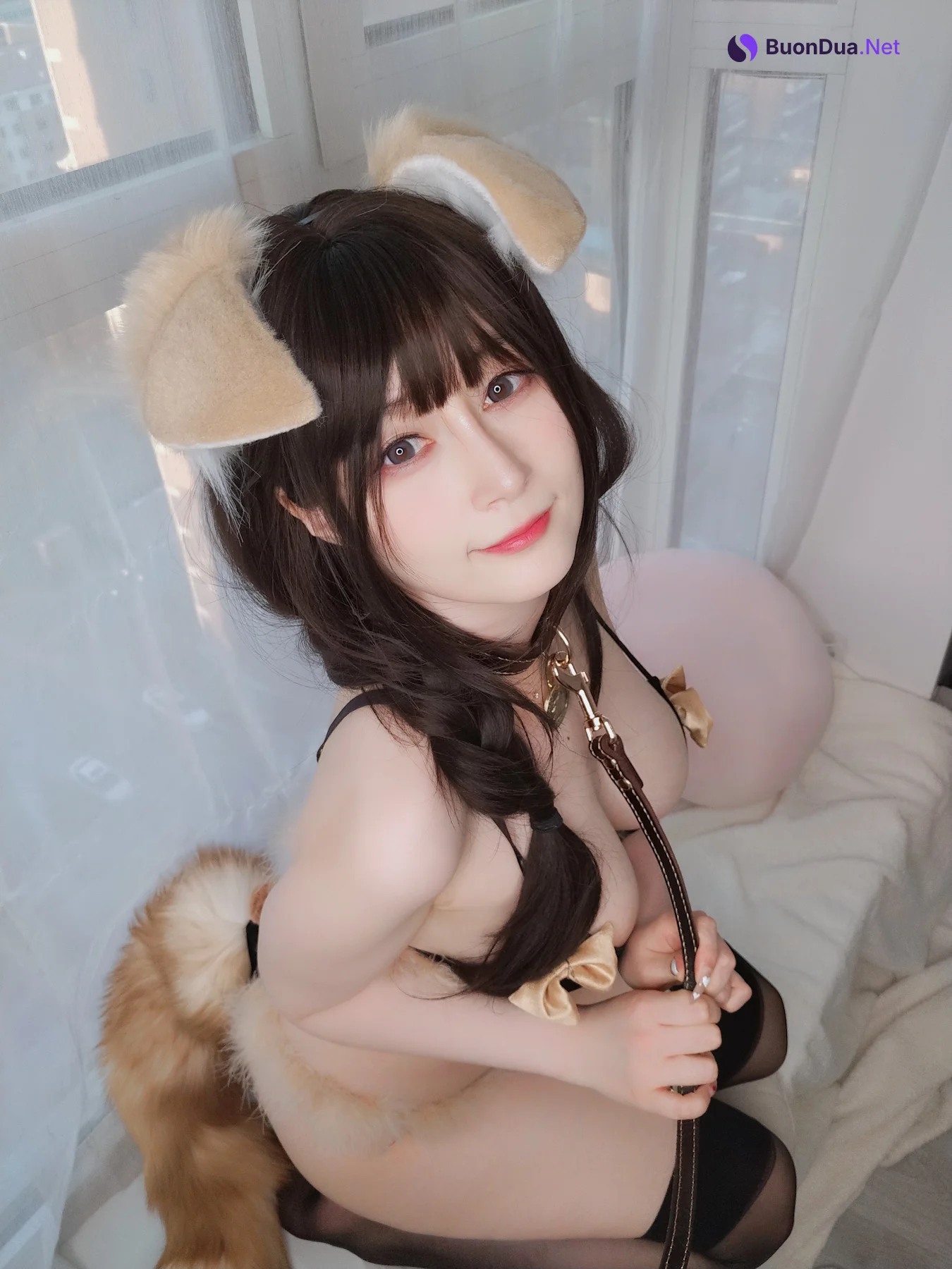 Coser@白银81 – 犬 - 写真 20