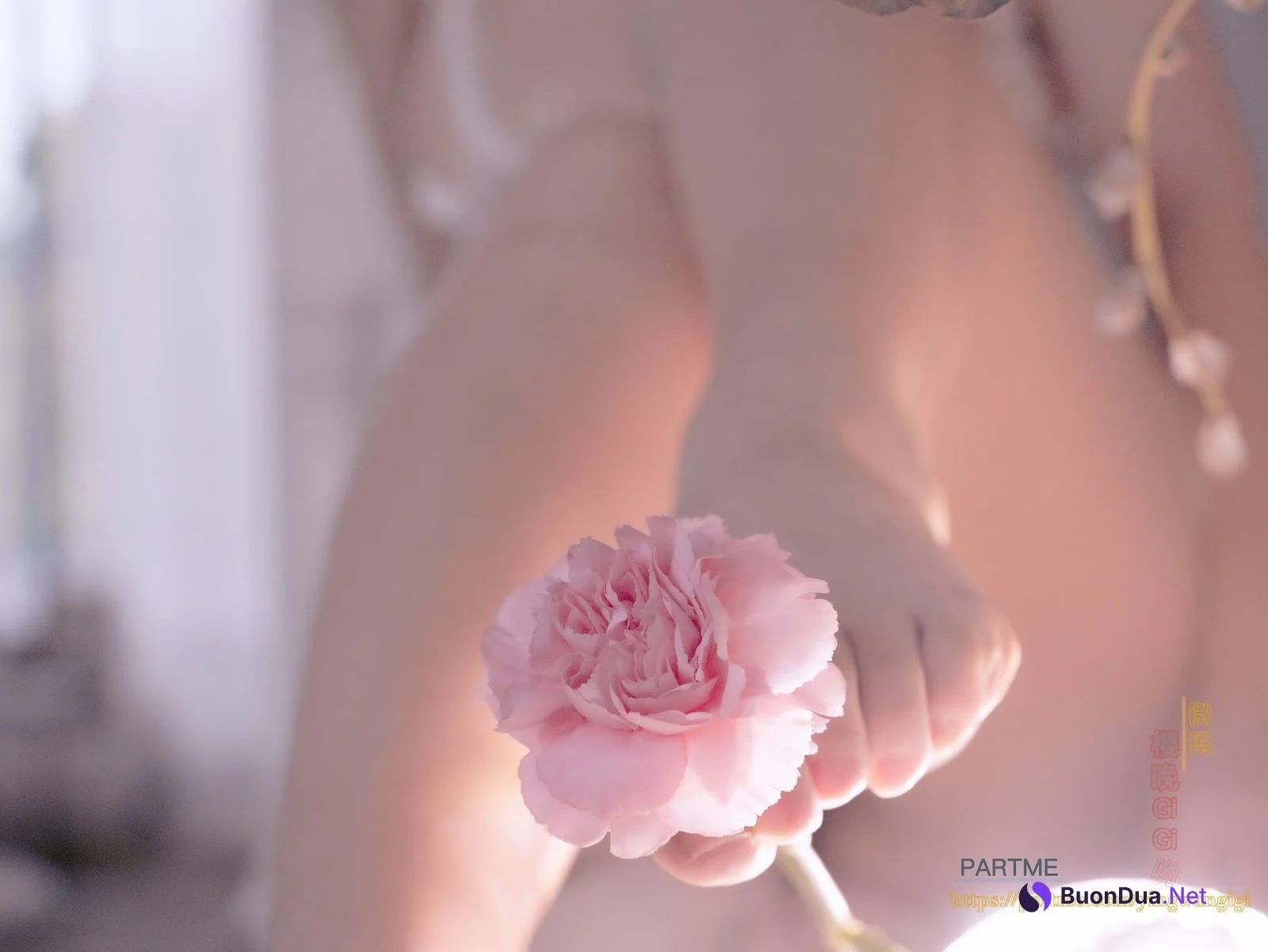 Coser@樱晚gigi – 余香 - 写真 17