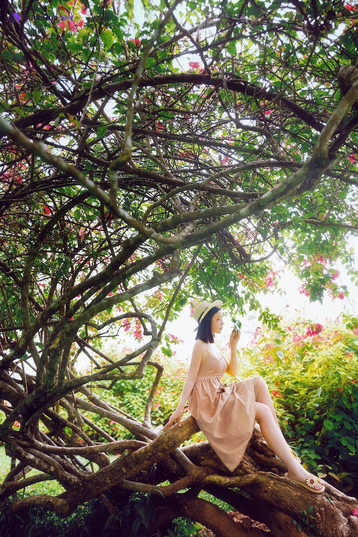Coser@年年Nnian – 白露 - รูปภาพ 10