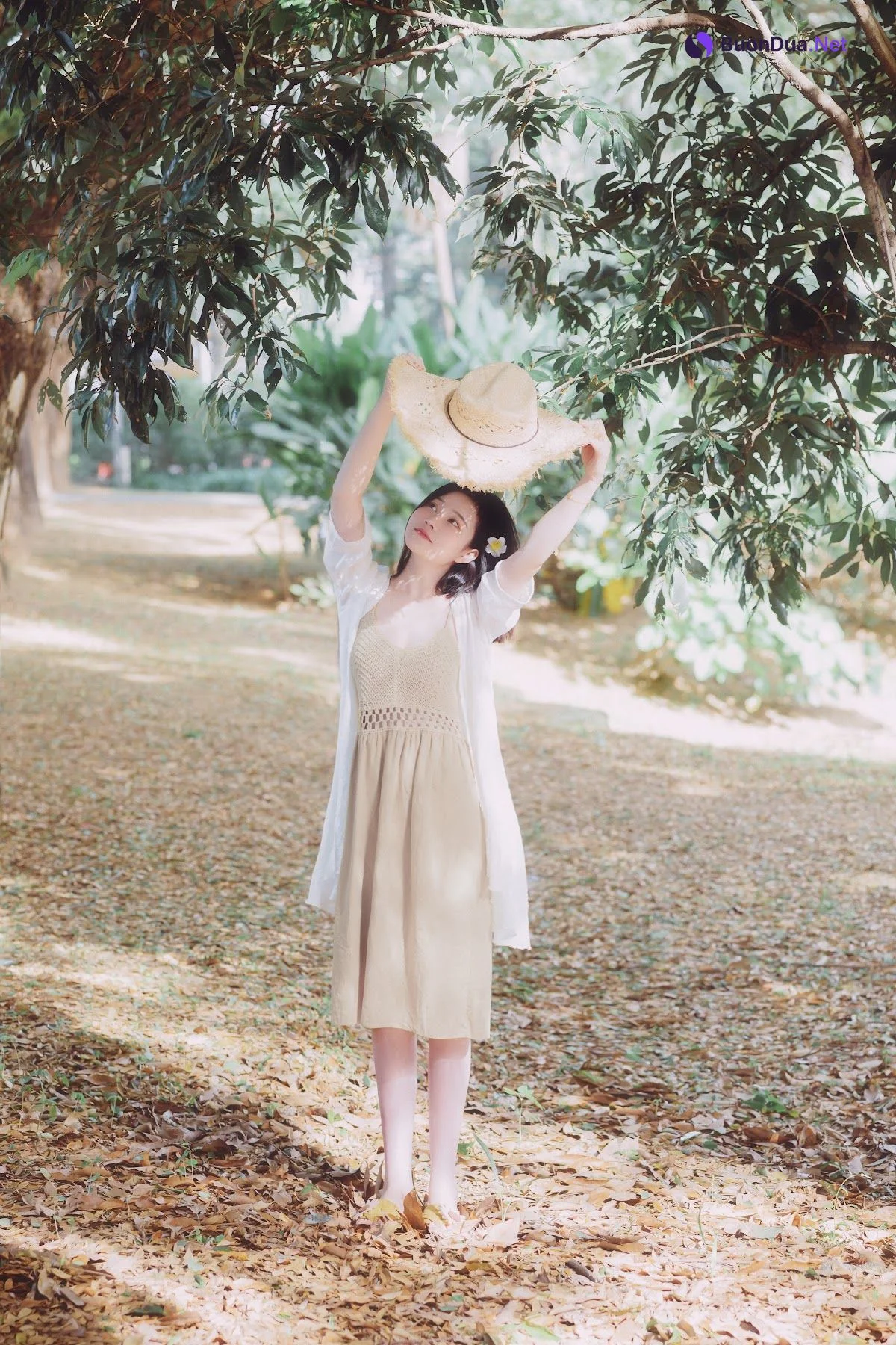 Coser@年年Nnian – 白露 - รูปภาพ 2