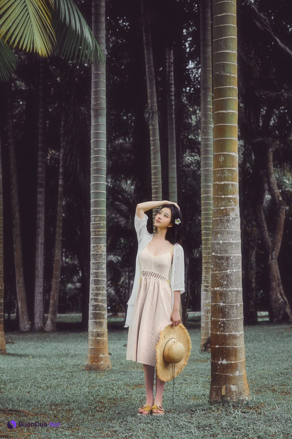 Coser@年年Nnian – 白露 - รูปภาพ 3