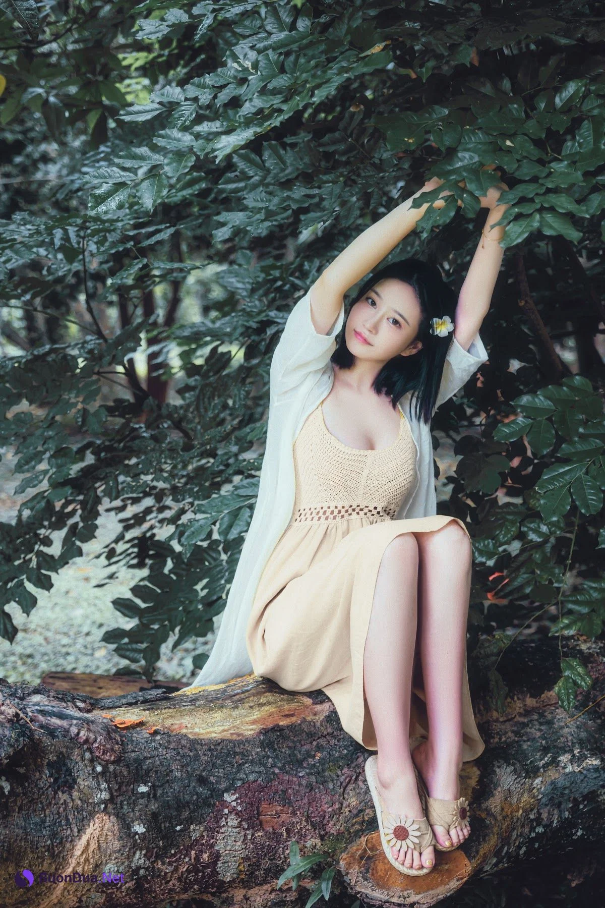 Coser@年年Nnian – 白露 - รูปภาพ 5
