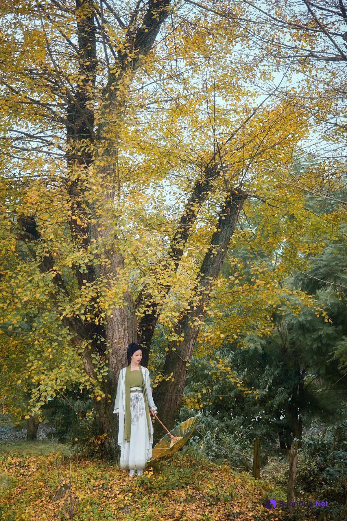 Coser@年年Nnian – 秋兮 - 사진 30
