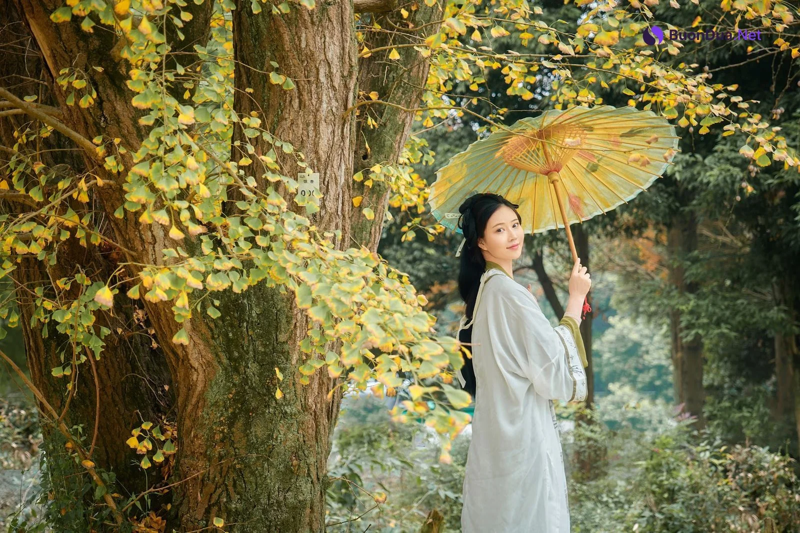 Coser@年年Nnian – 秋兮 - 사진 36