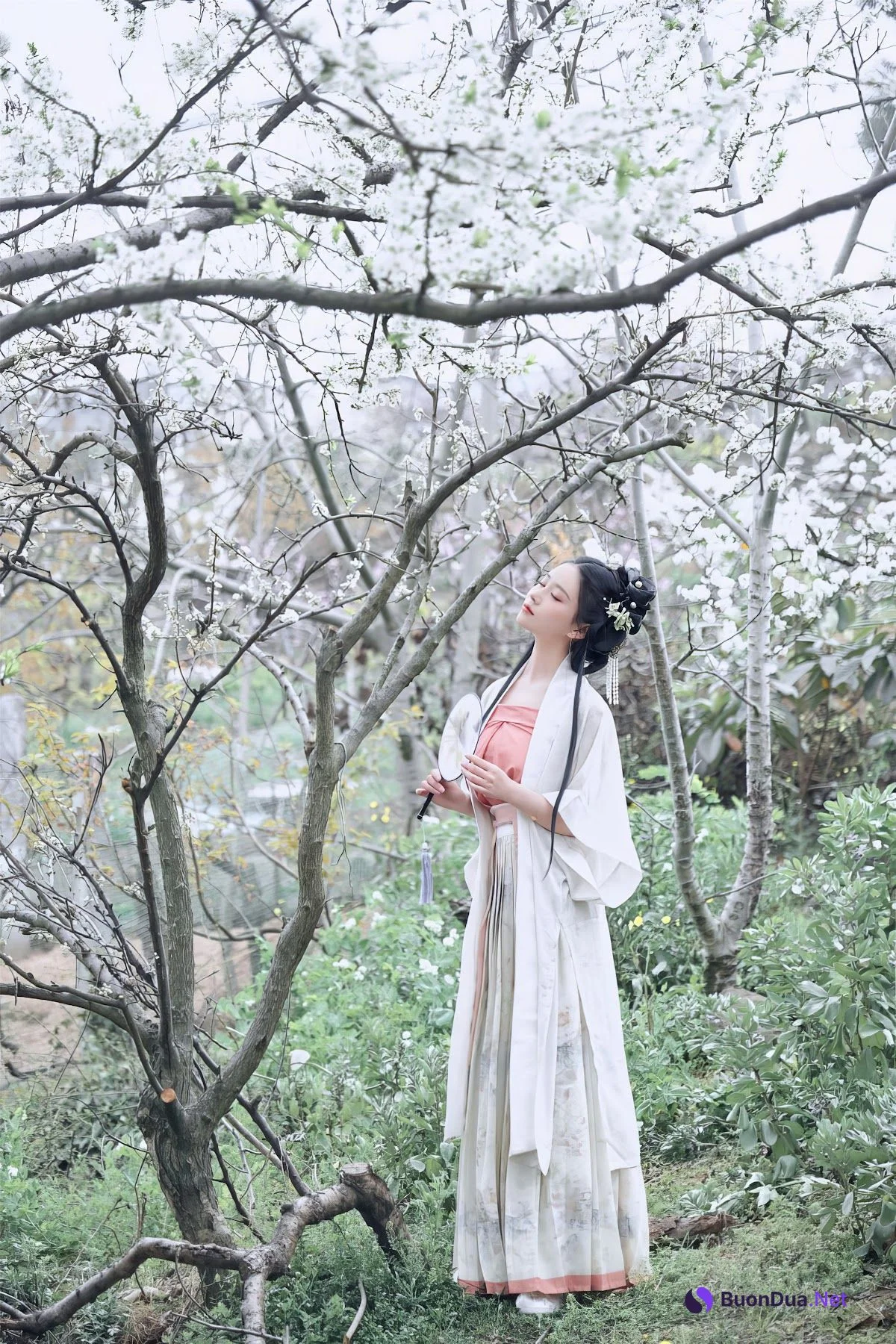 Coser@年年Nnian – 三月花 - 사진 2