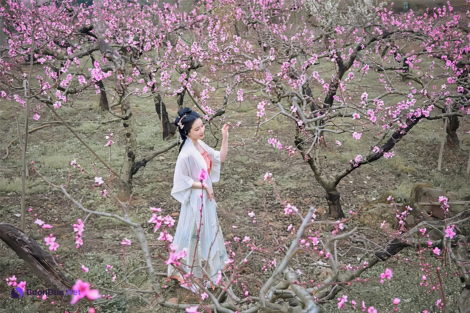 Coser@年年Nnian – 三月花 - 사진 20