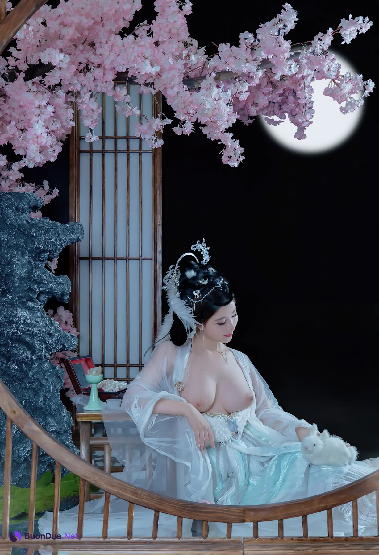 Coser@年年Nnian – 嫦娥仙子 - 照片 19