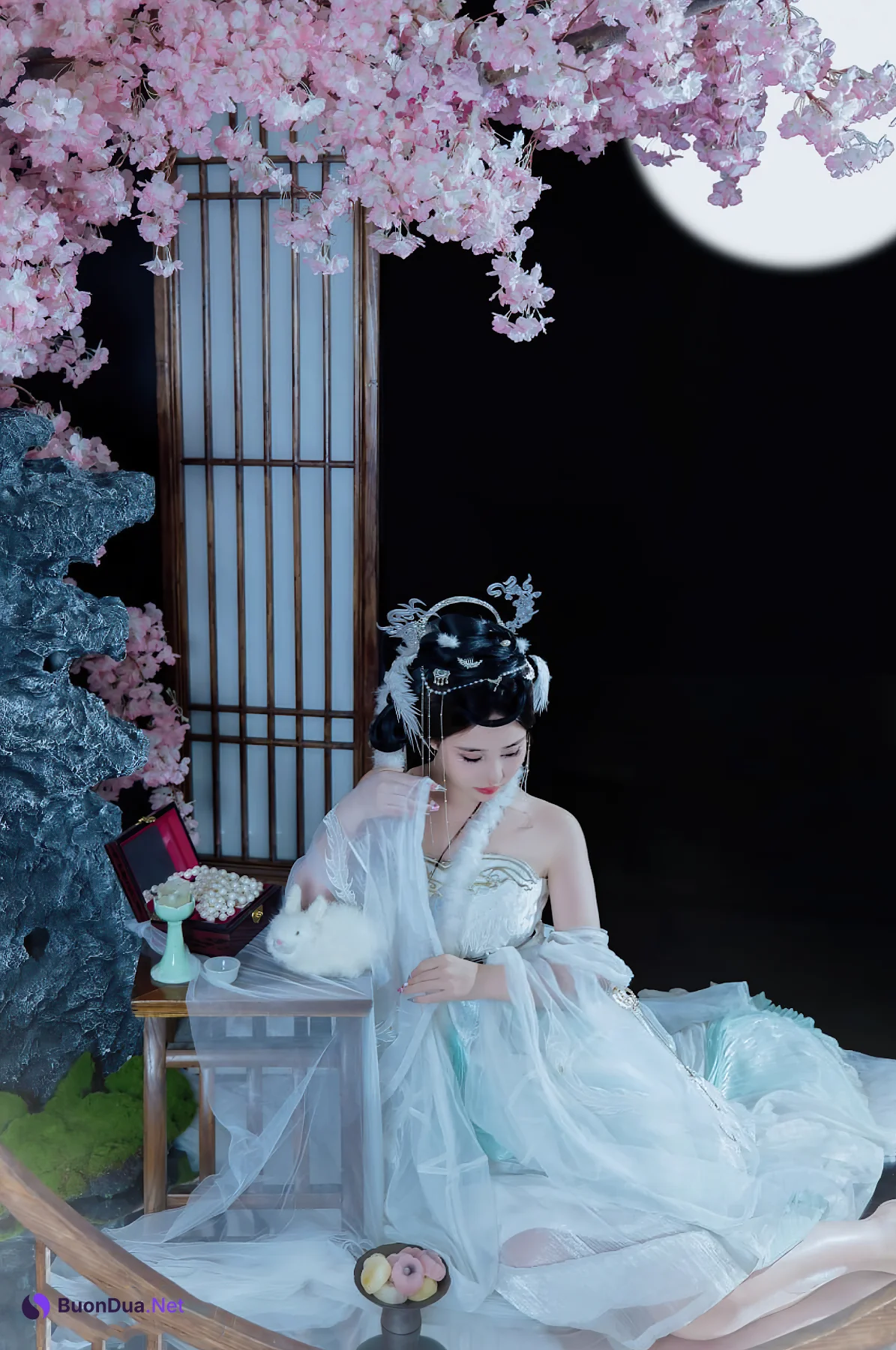 Coser@年年Nnian – 嫦娥仙子 - 照片 9