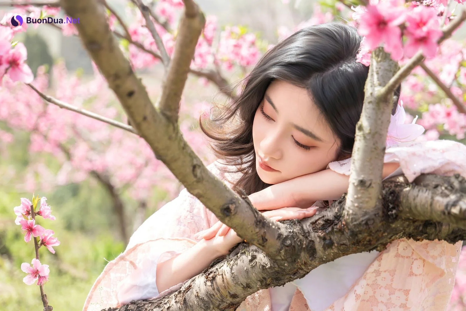 Coser@年年Nnian – 漫花 - 写真 13
