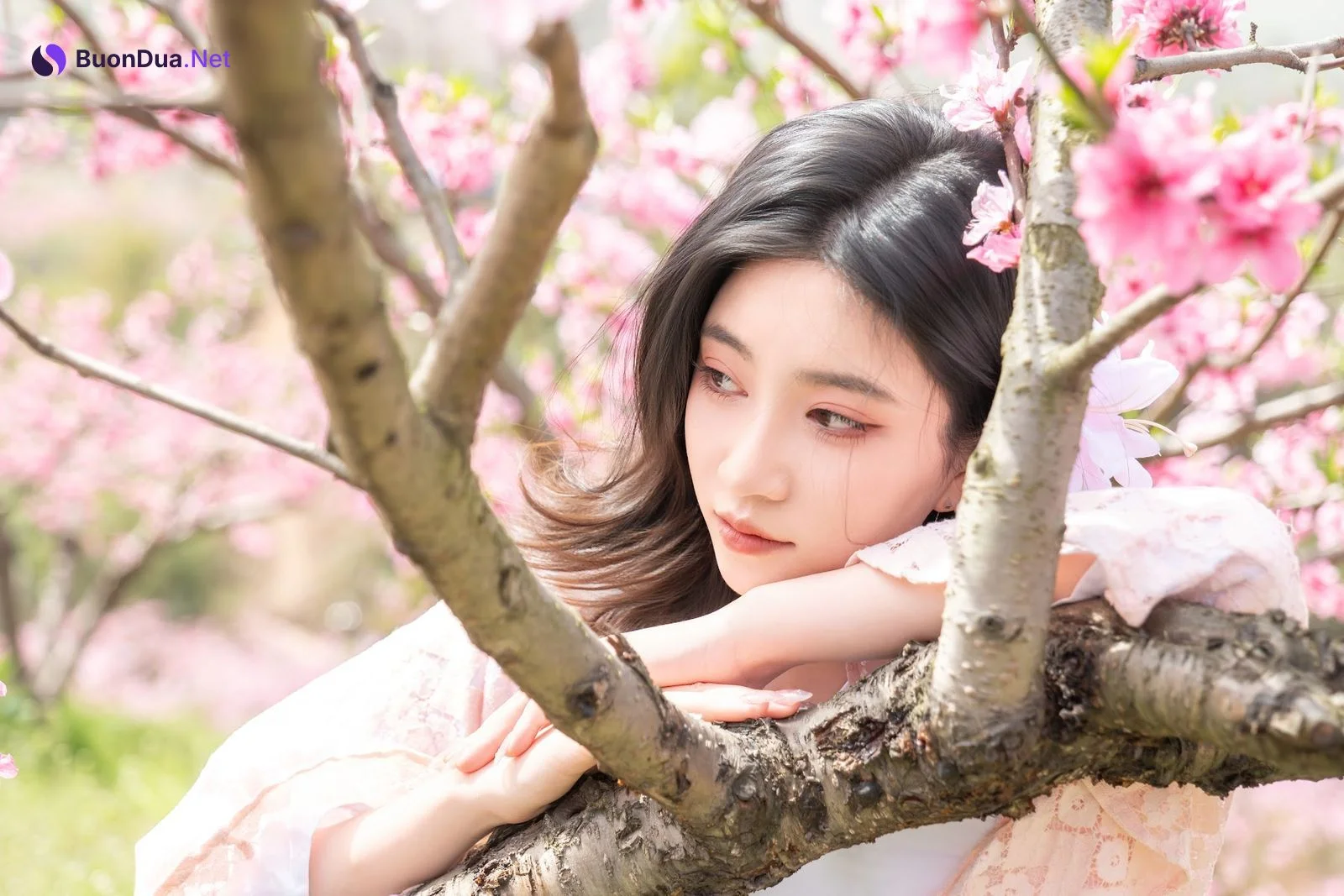 Coser@年年Nnian – 漫花 - 写真 14